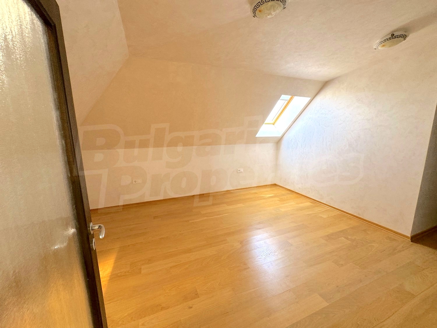 Gallery Picture 54