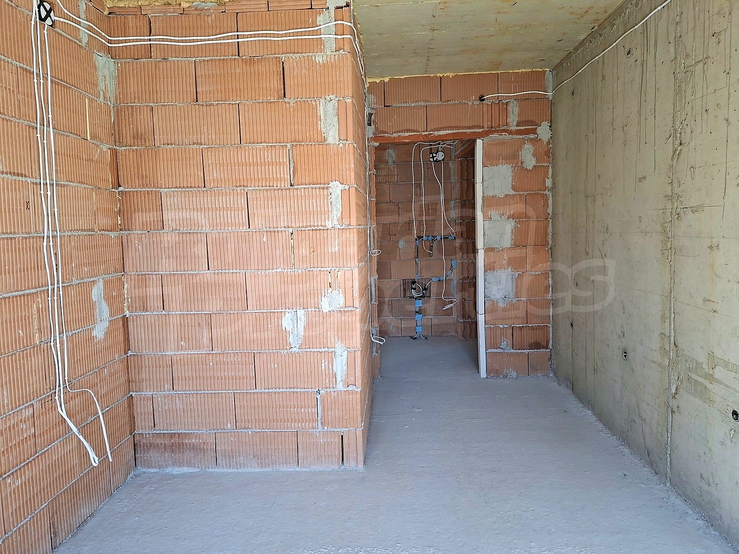 Gallery Picture 23