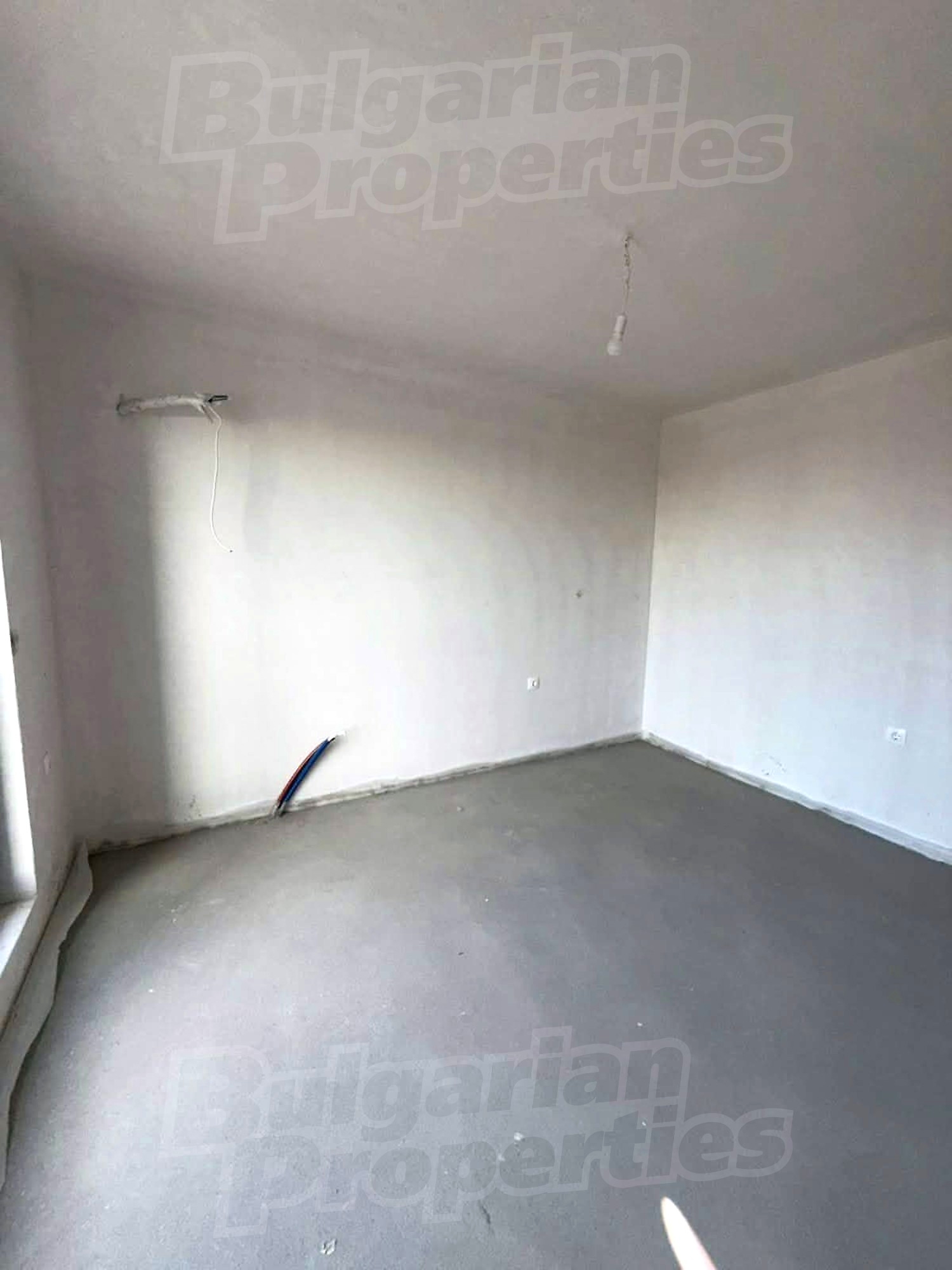 Gallery Picture 6
