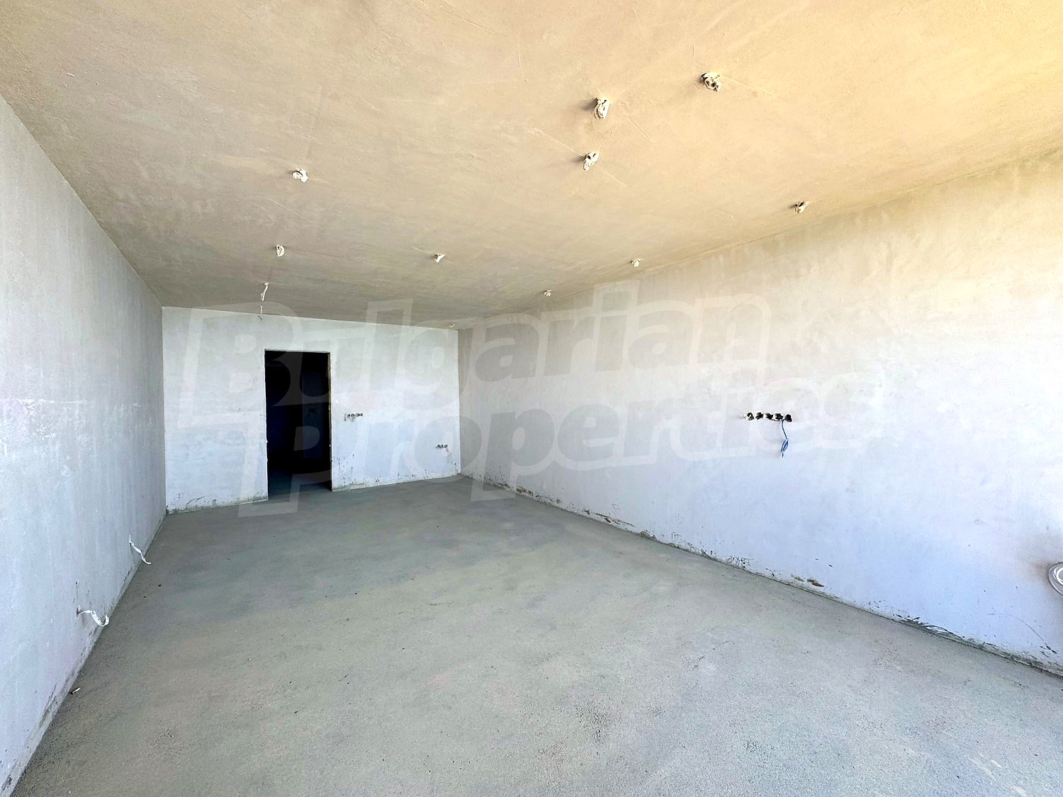 Gallery Picture 11