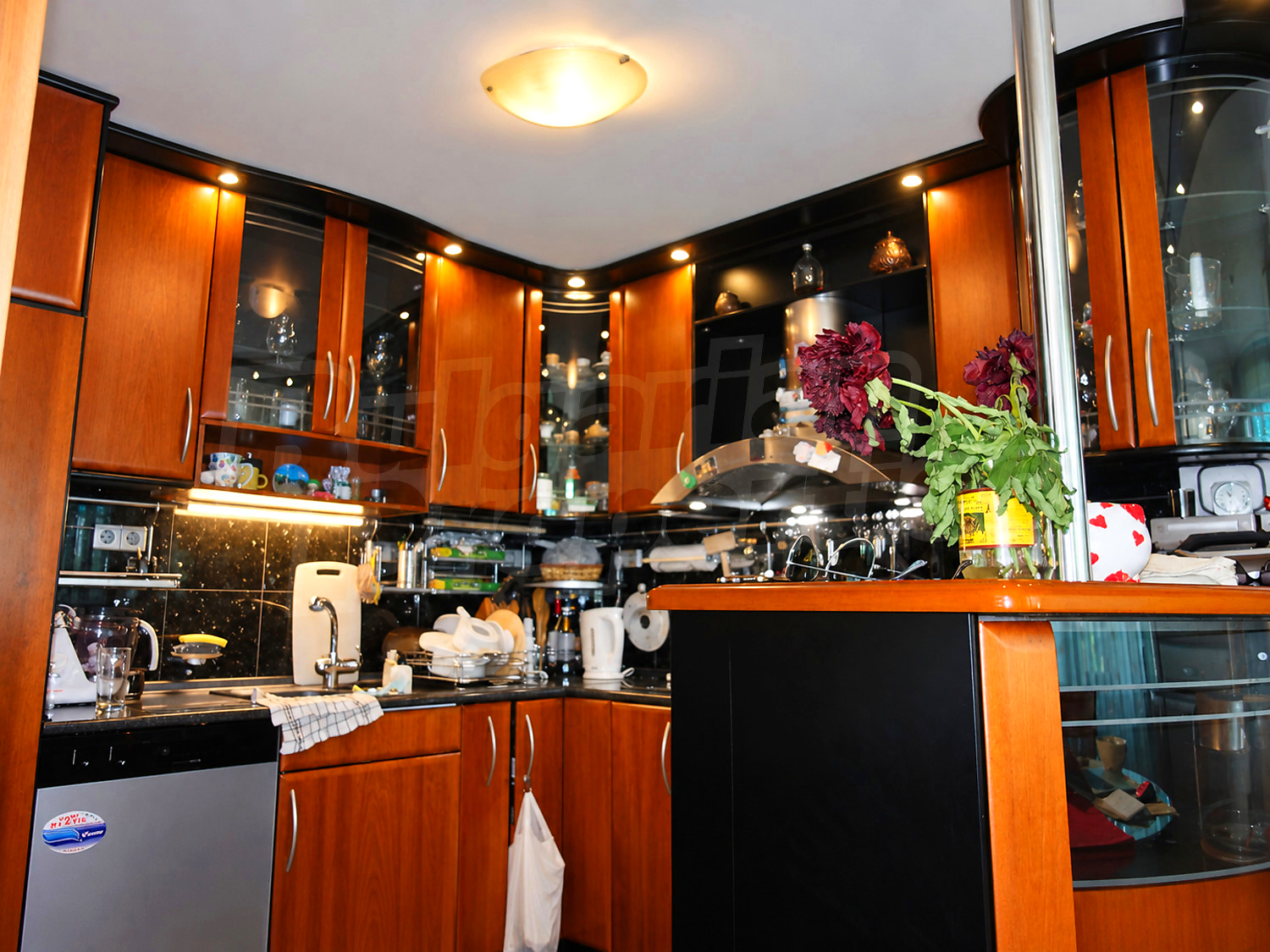 Gallery Picture 7