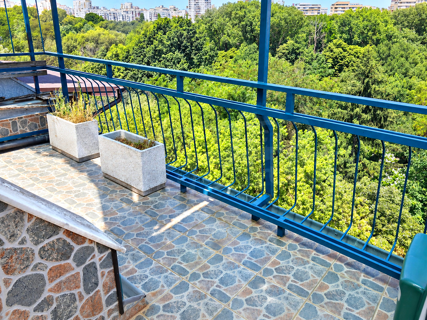 Gallery Picture 21