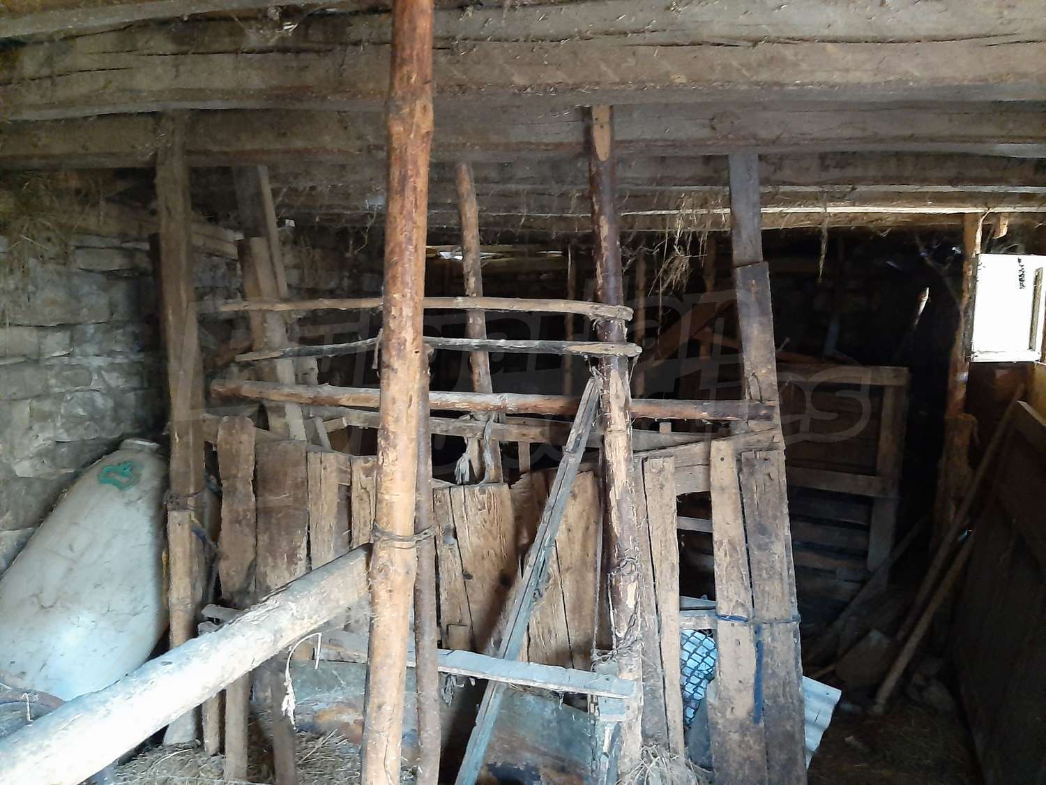 Gallery Picture 12
