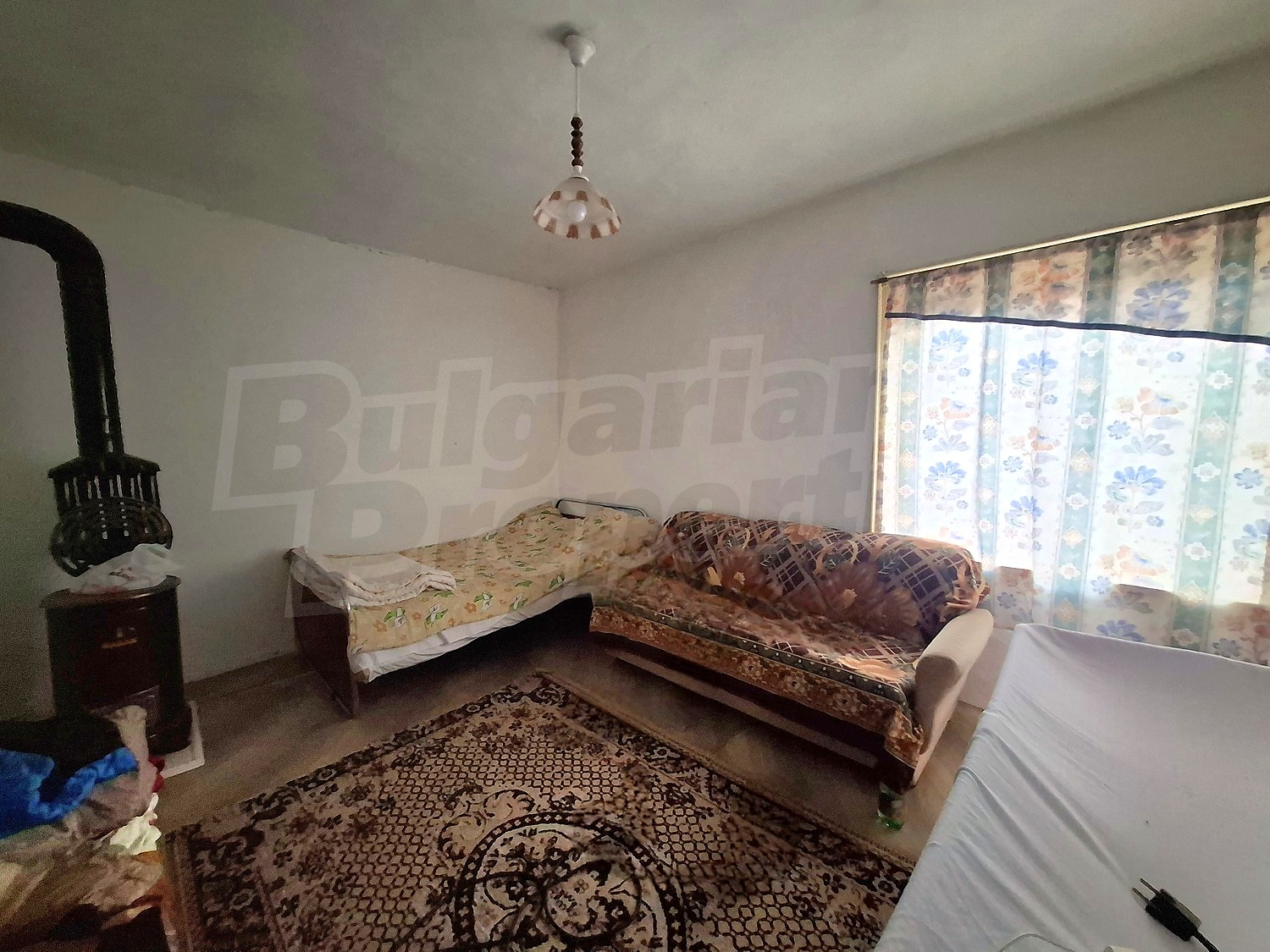 Gallery Picture 19