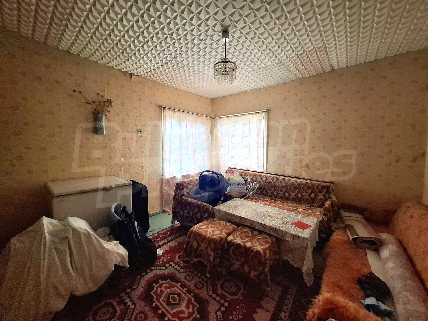 Gallery Picture 23