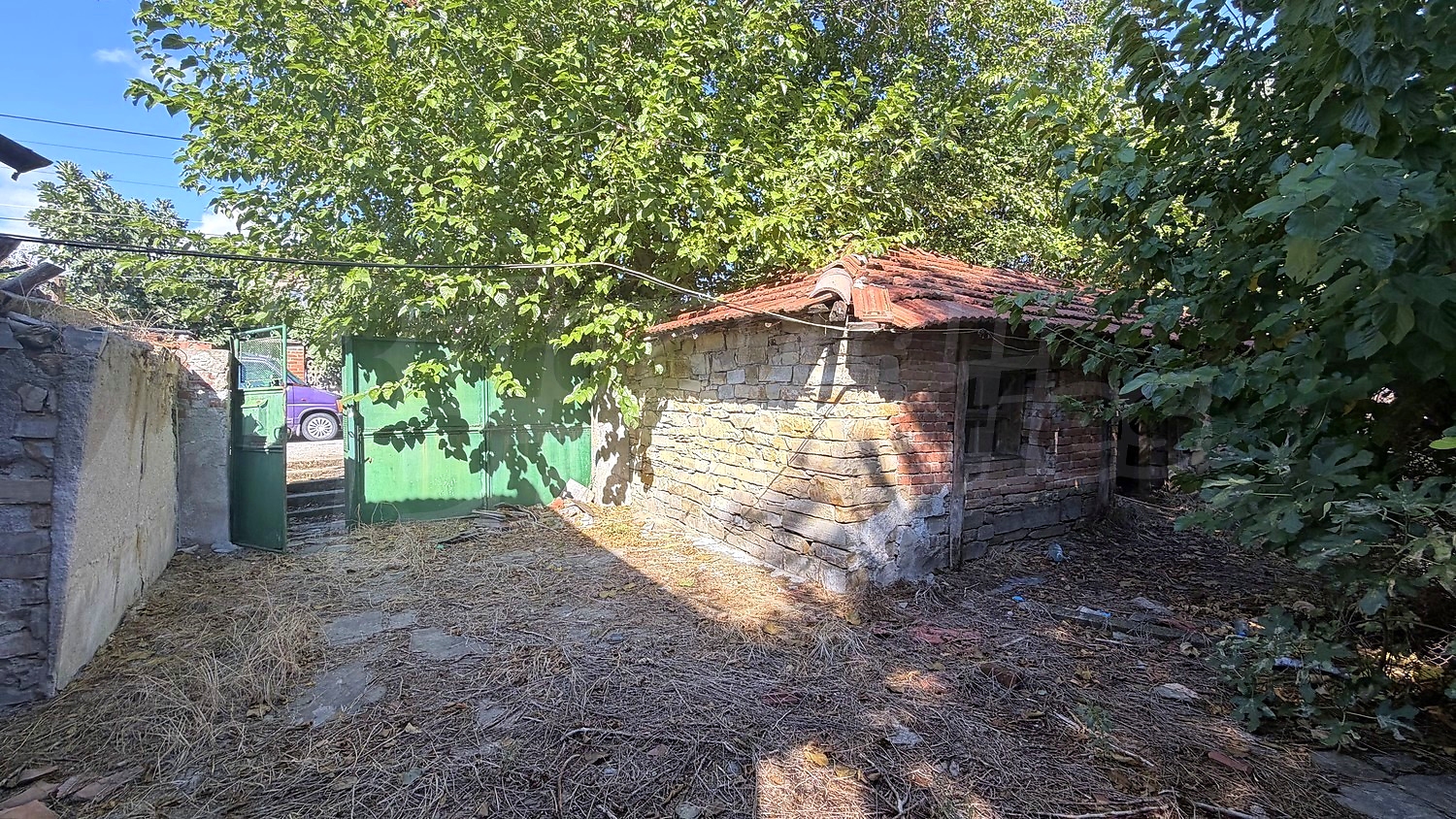 Gallery Picture 14