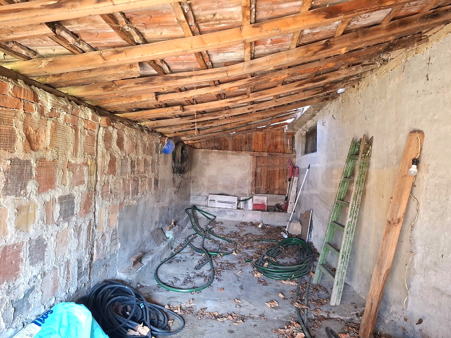 Gallery Picture 24