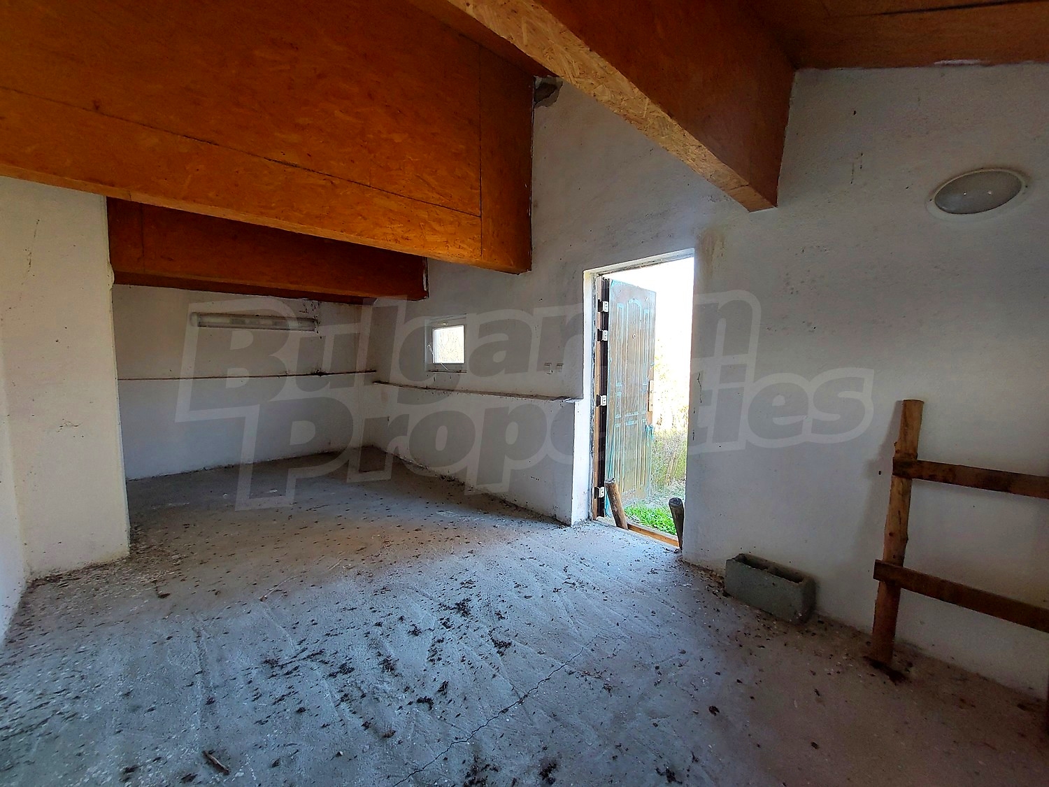 Gallery Picture 5