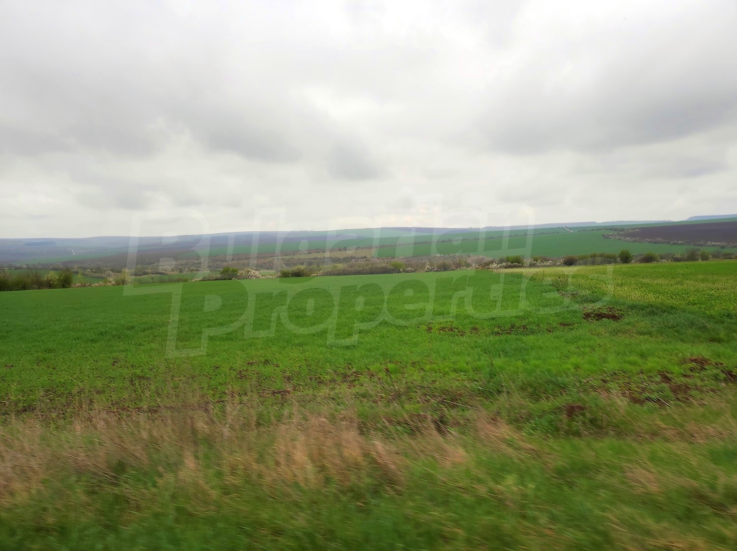 Gallery Picture 29