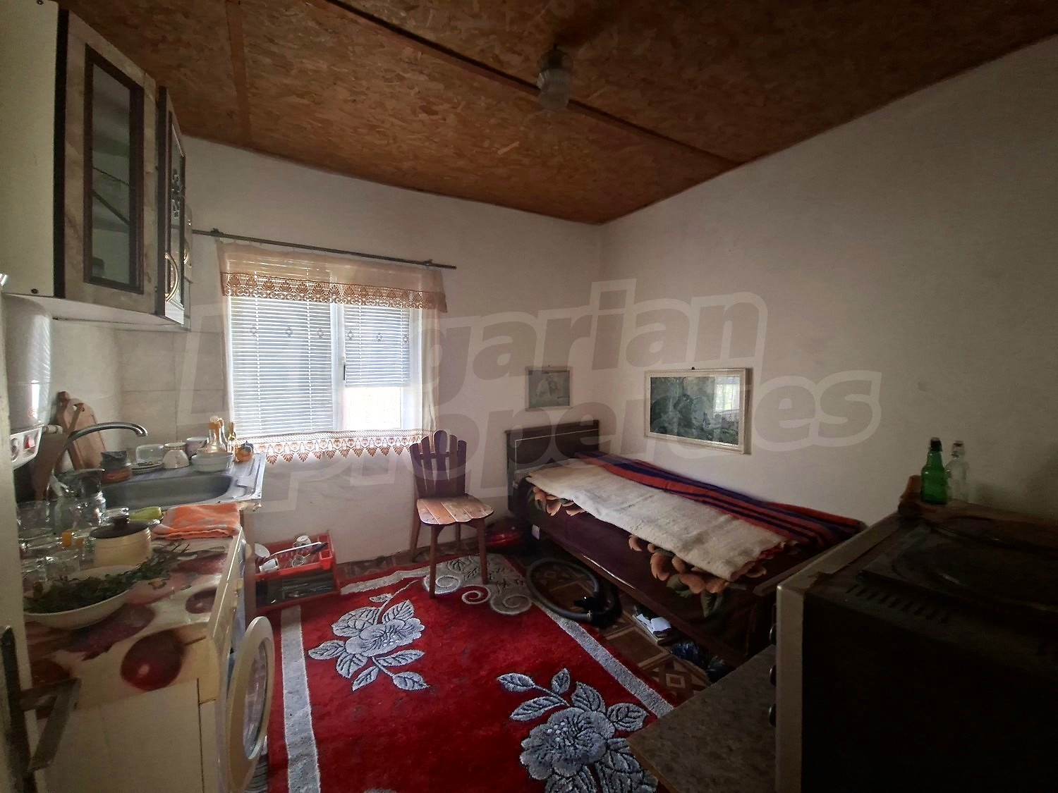 Gallery Picture 13