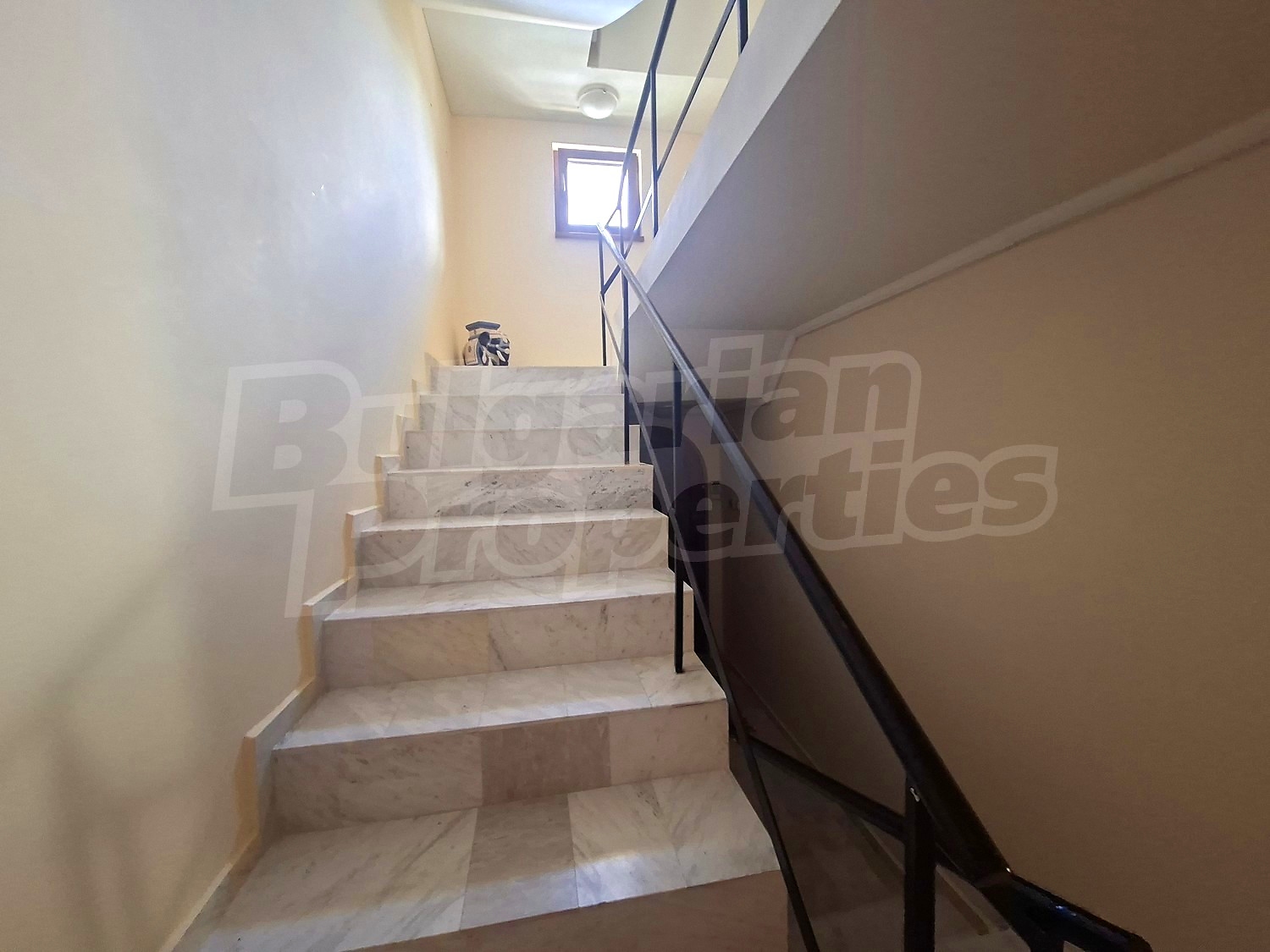 Gallery Picture 19