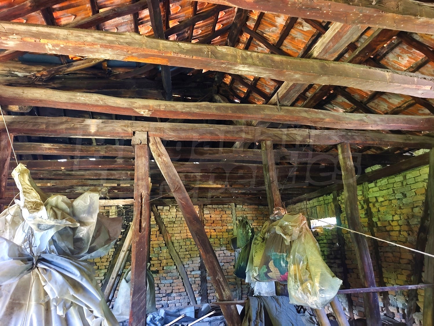 Gallery Picture 18