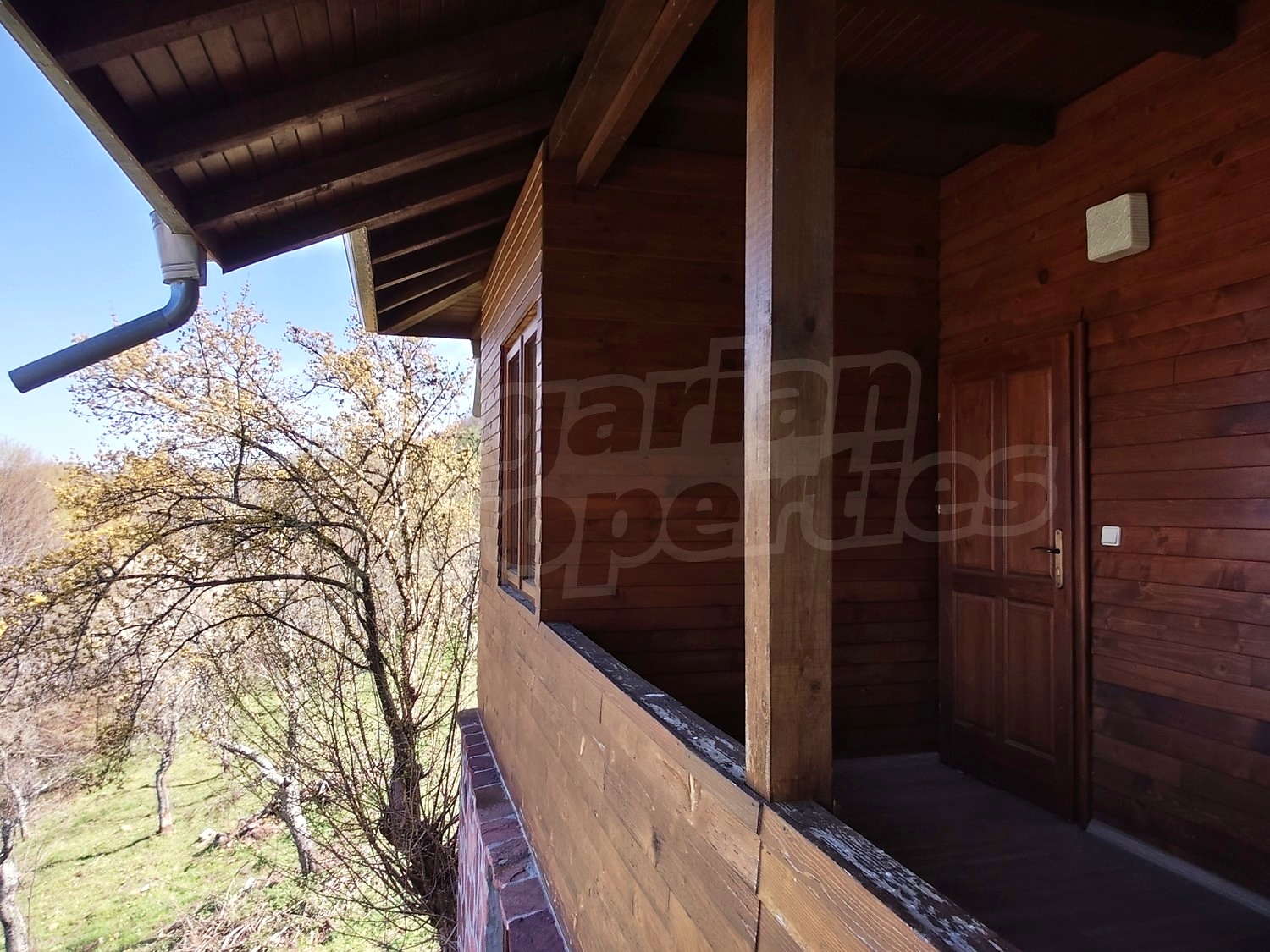 Gallery Picture 27