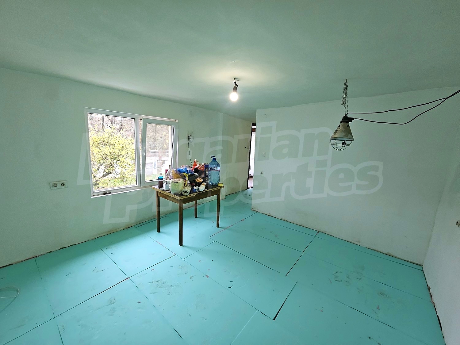 Gallery Picture 14