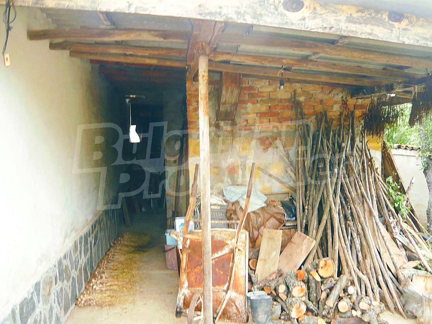 Gallery Picture 17