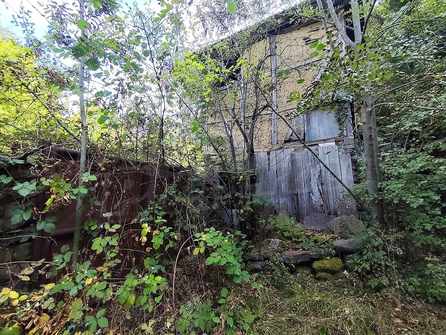 Gallery Picture 44