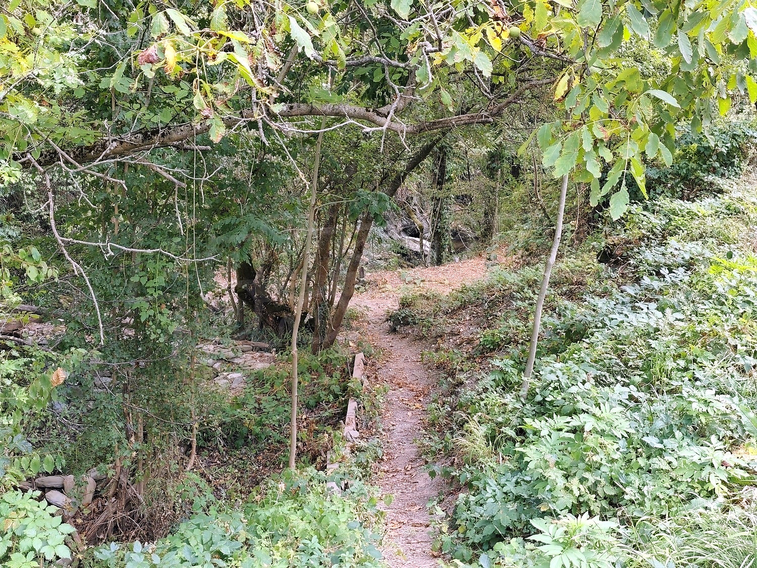 Gallery Picture 46
