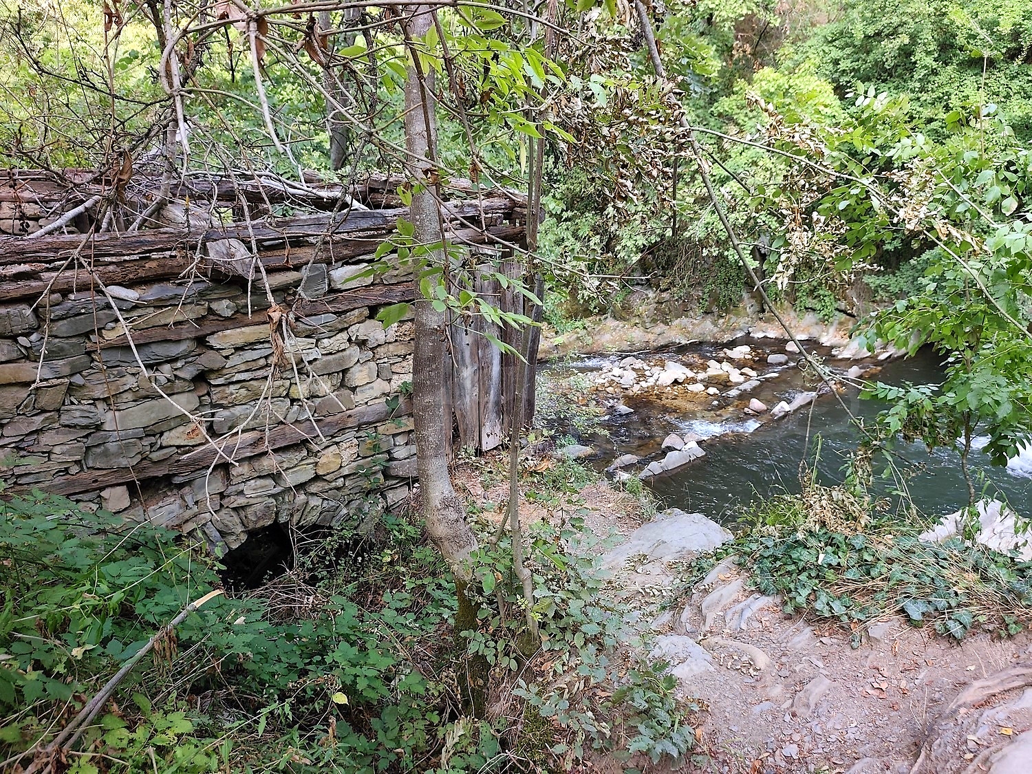 Gallery Picture 48