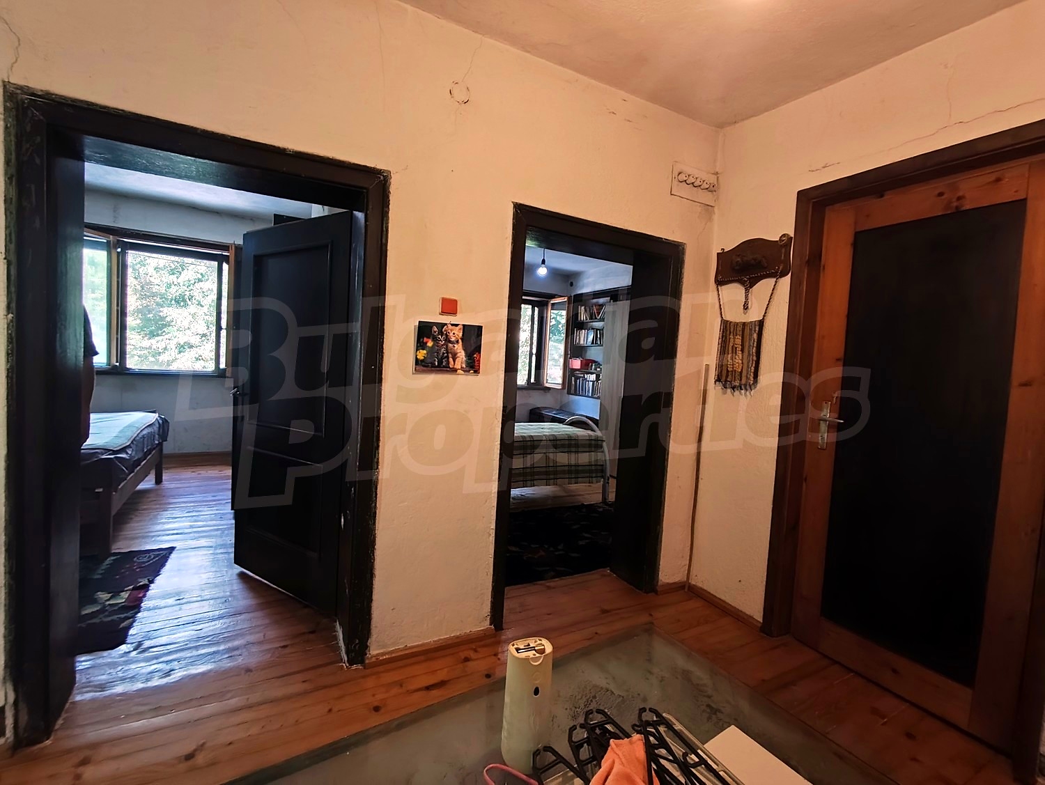 Gallery Picture 23
