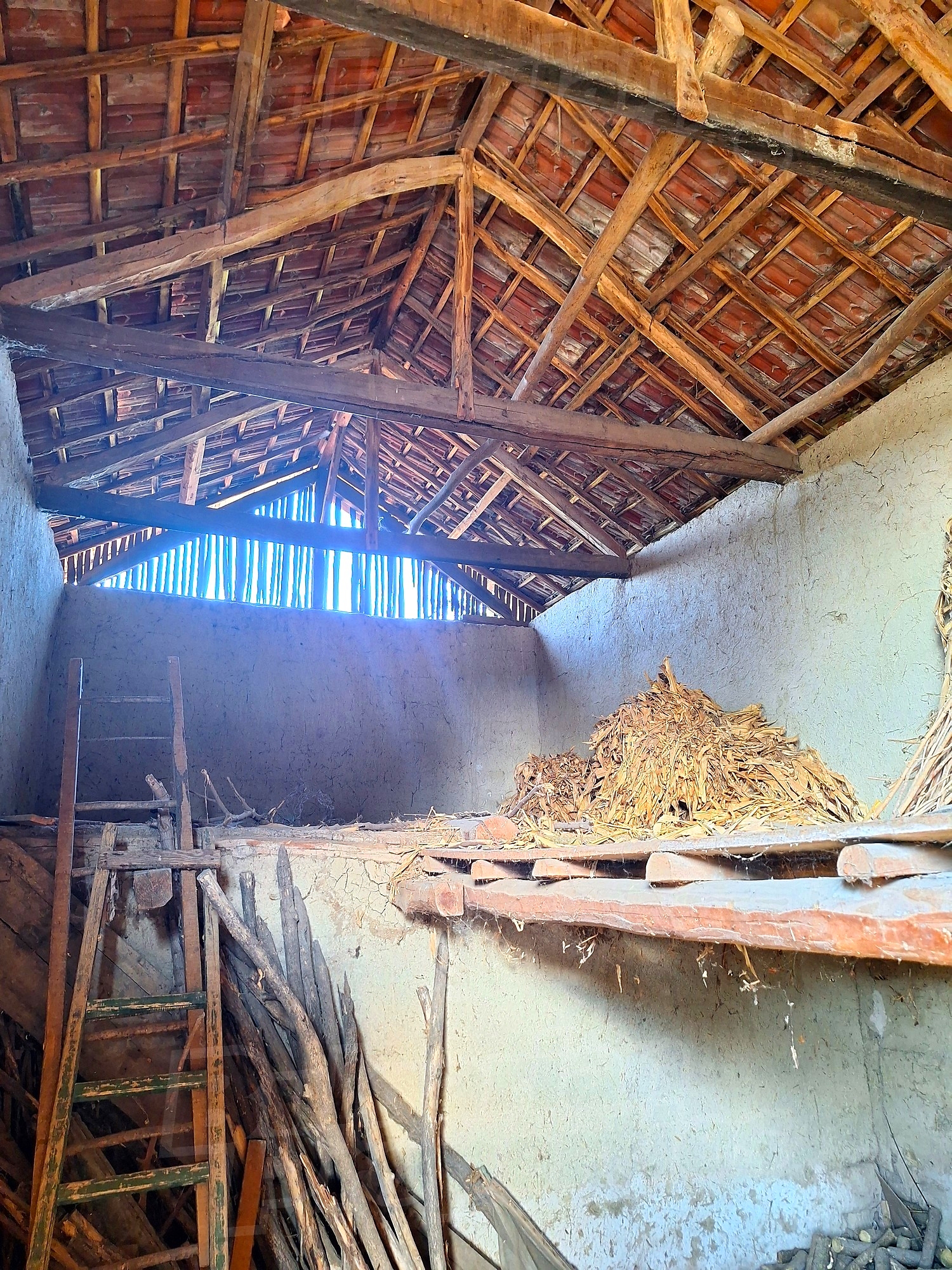 Gallery Picture 12