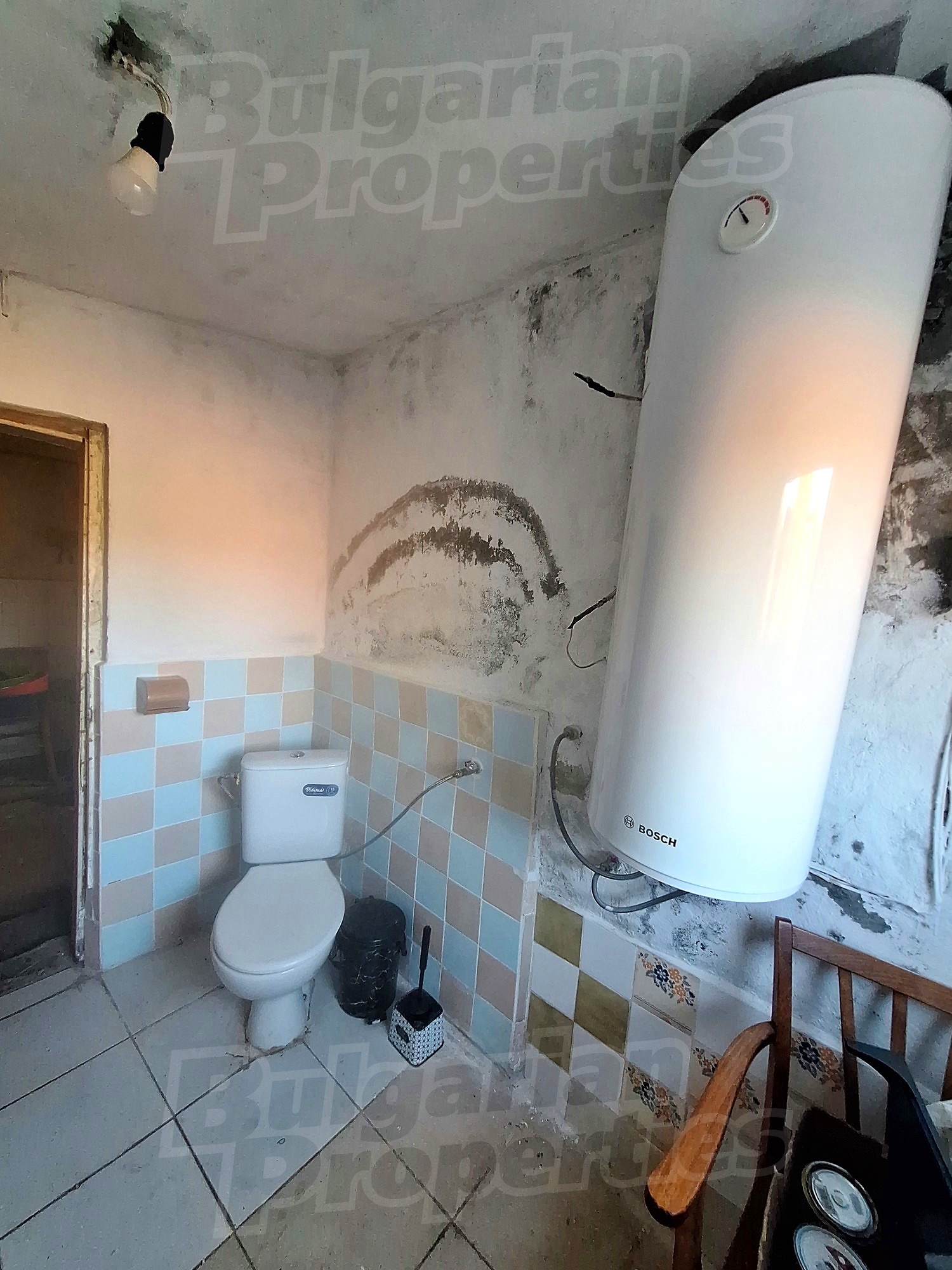 Gallery Picture 10
