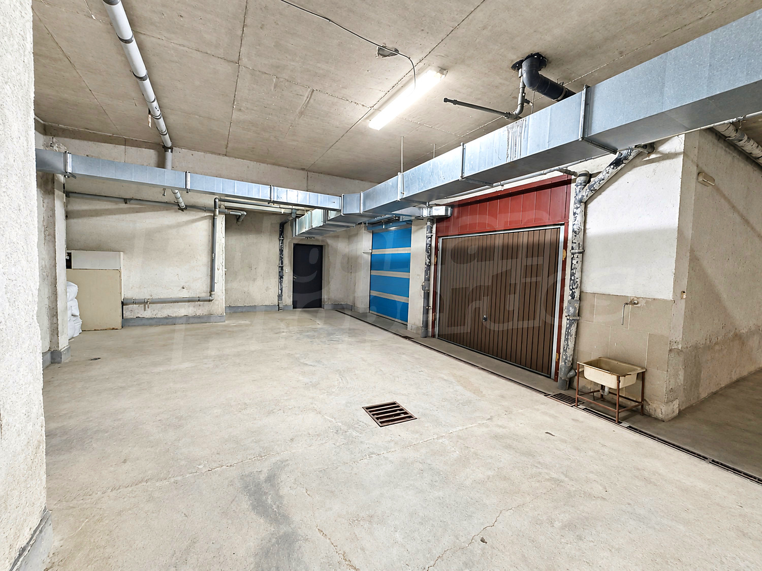 Gallery Picture 5