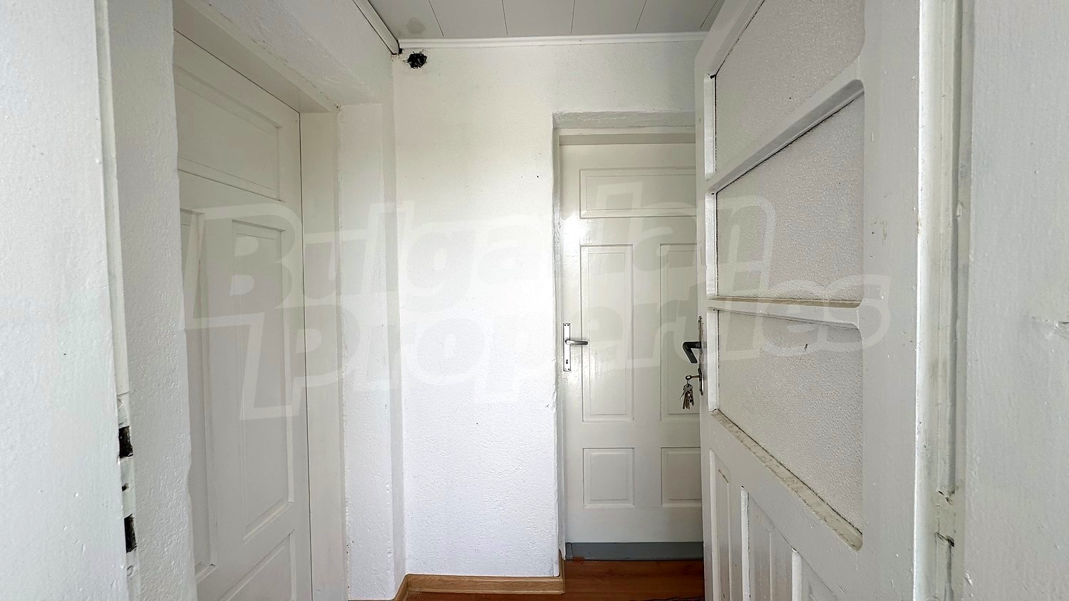 Gallery Picture 35