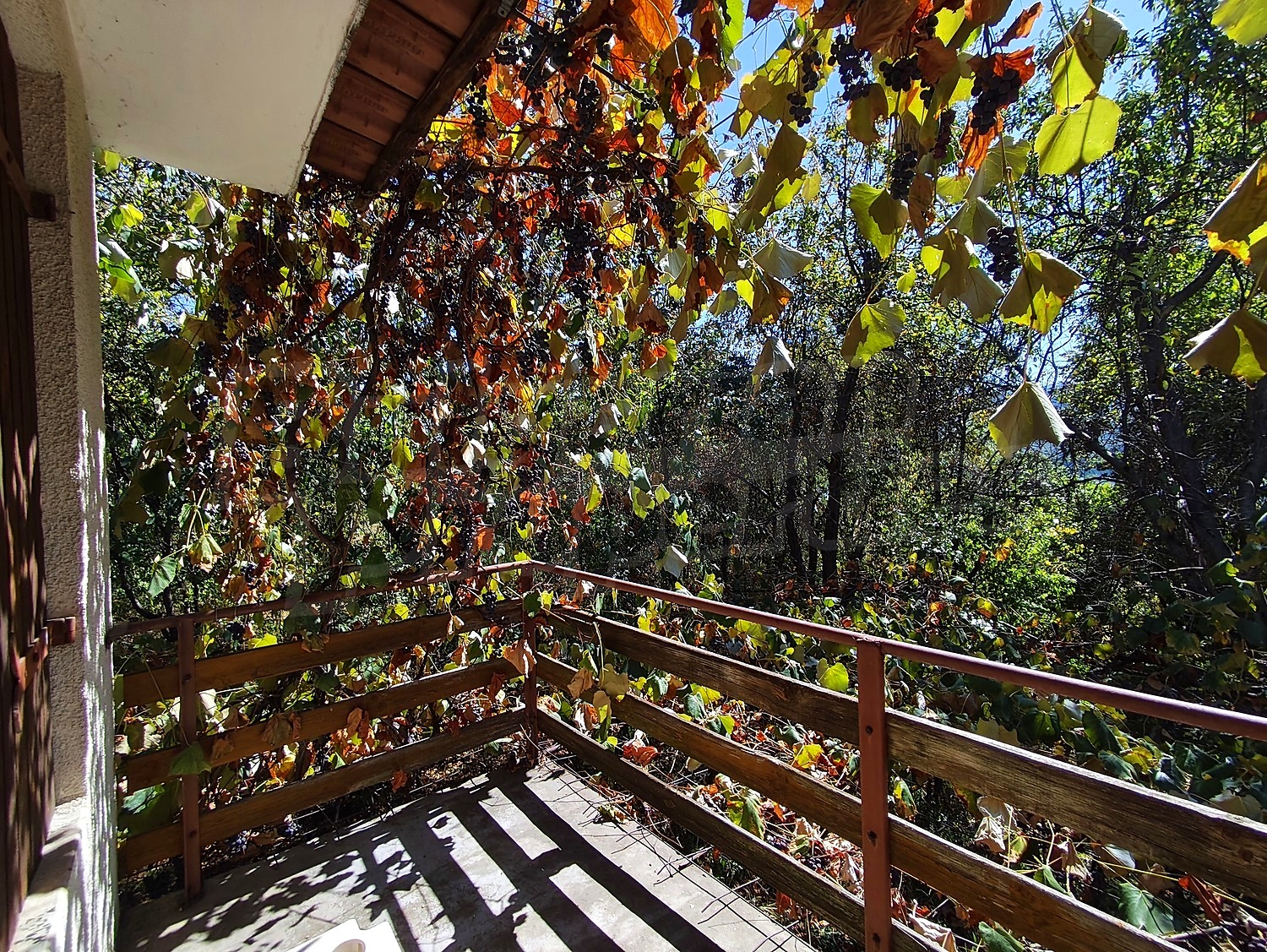 Gallery Picture 18