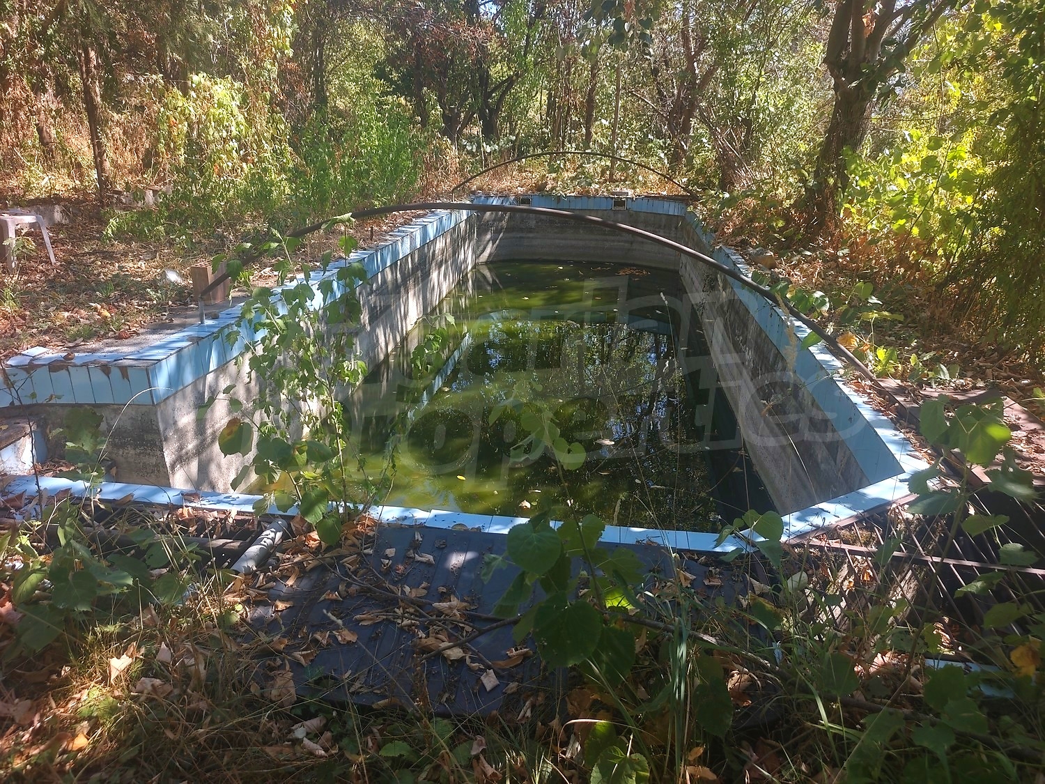Gallery Picture 37