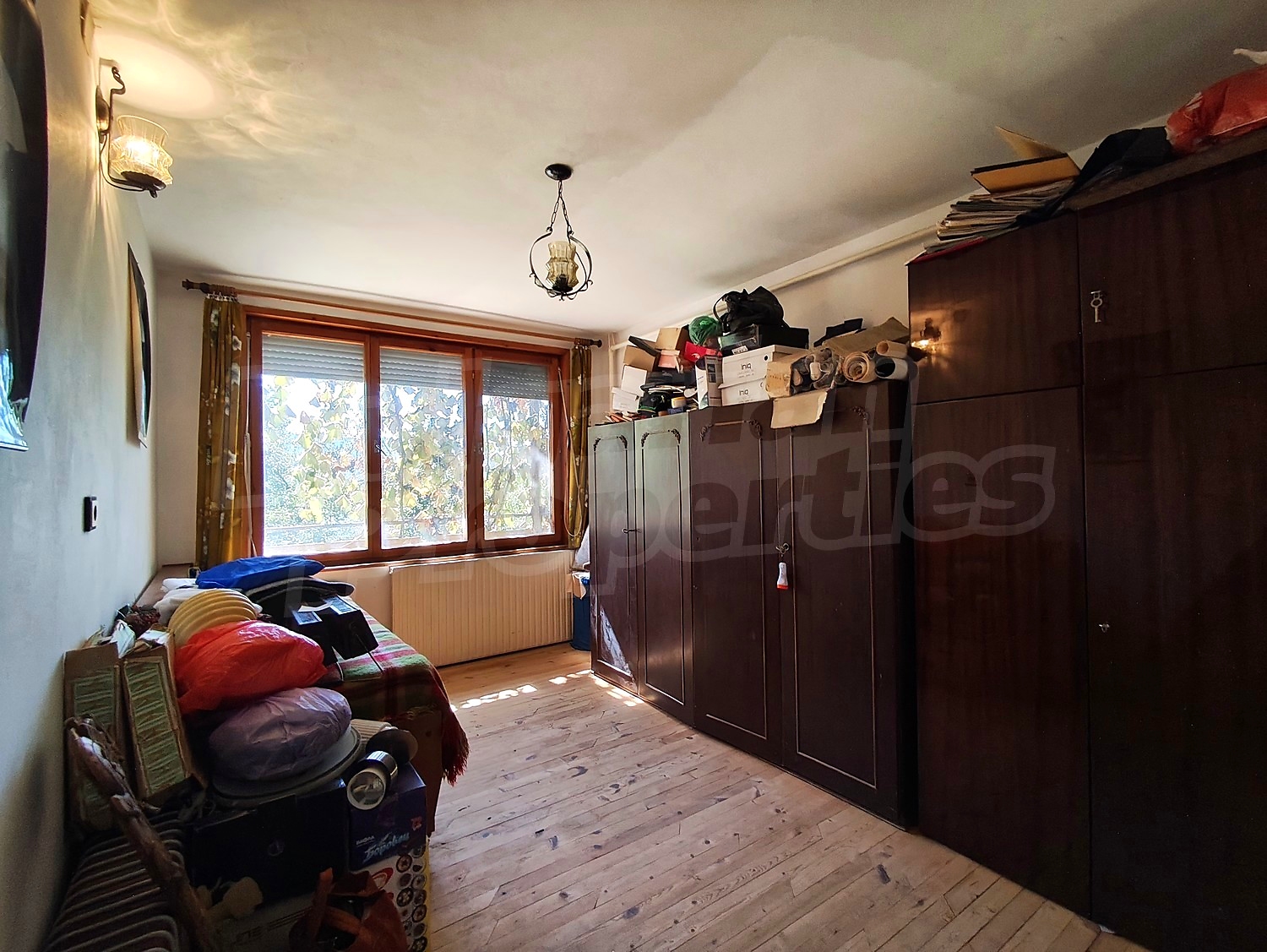 Gallery Picture 24