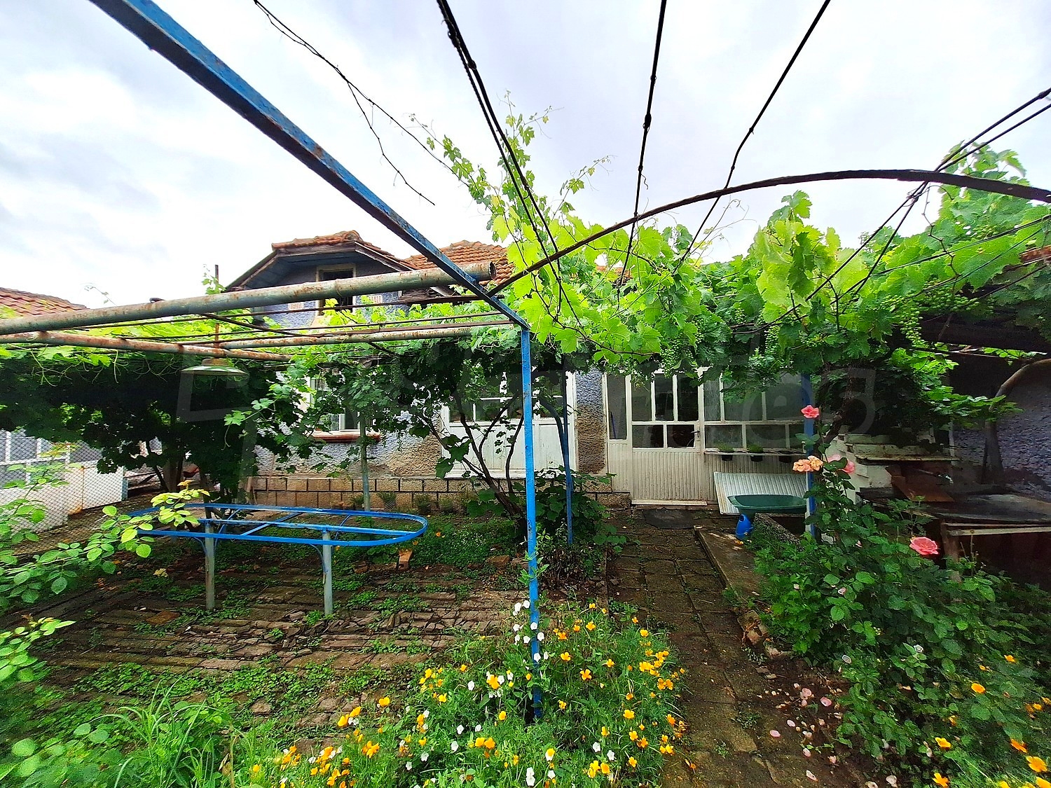 outside, garden