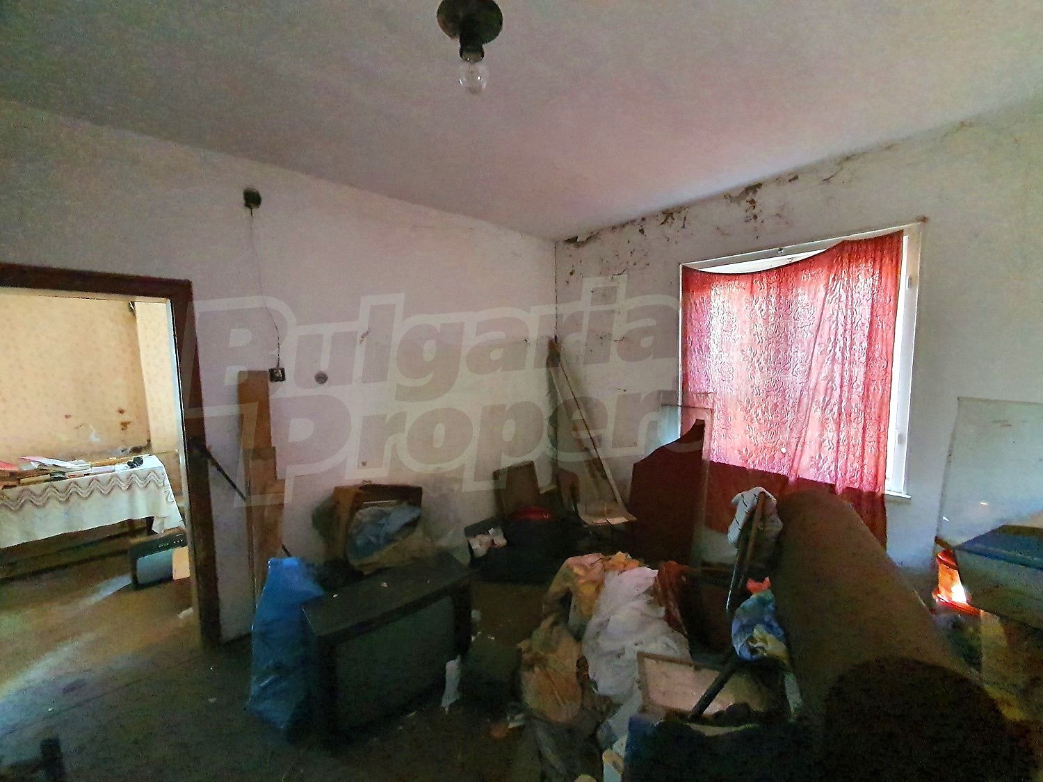 Gallery Picture 10