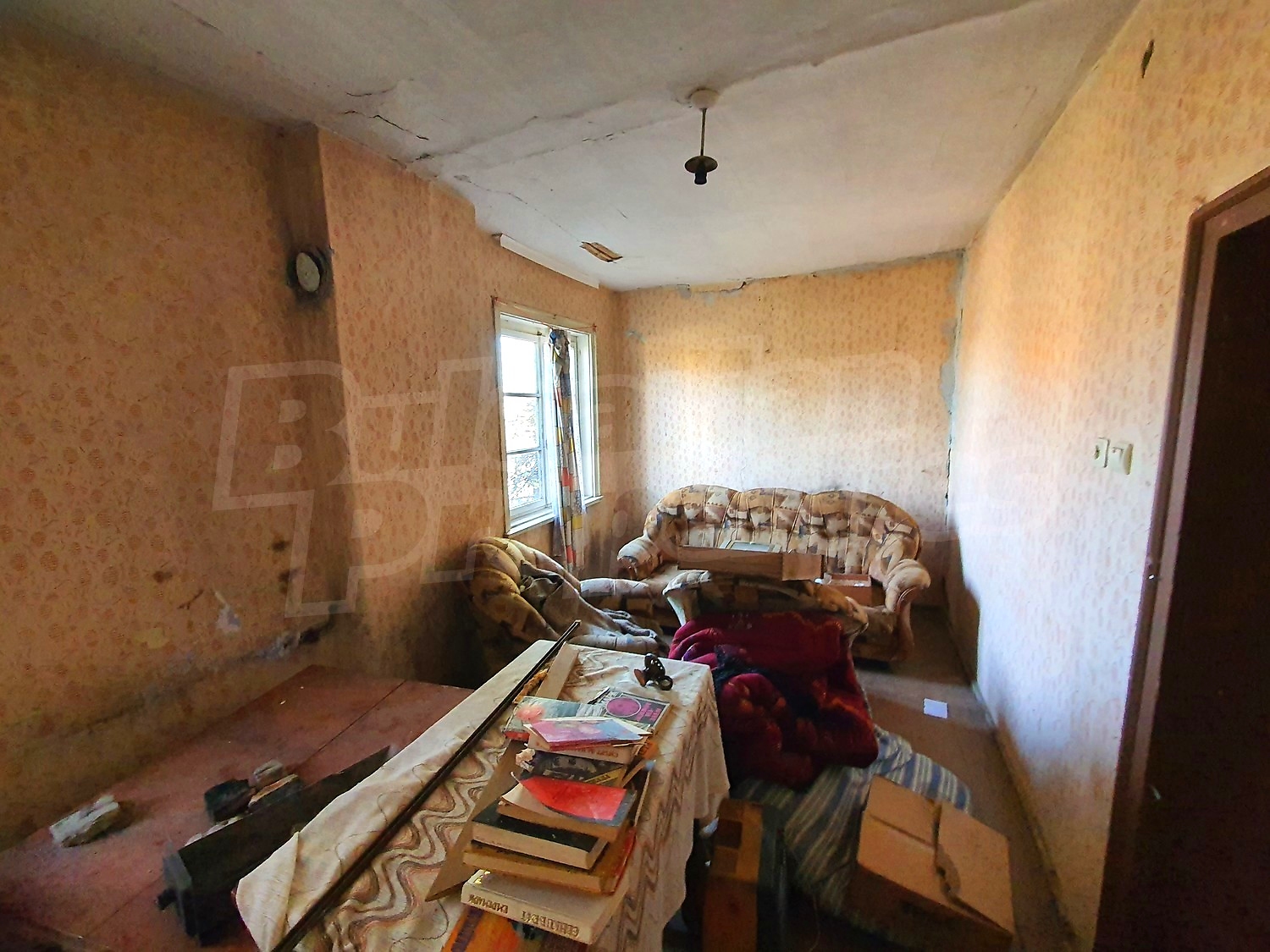Gallery Picture 12