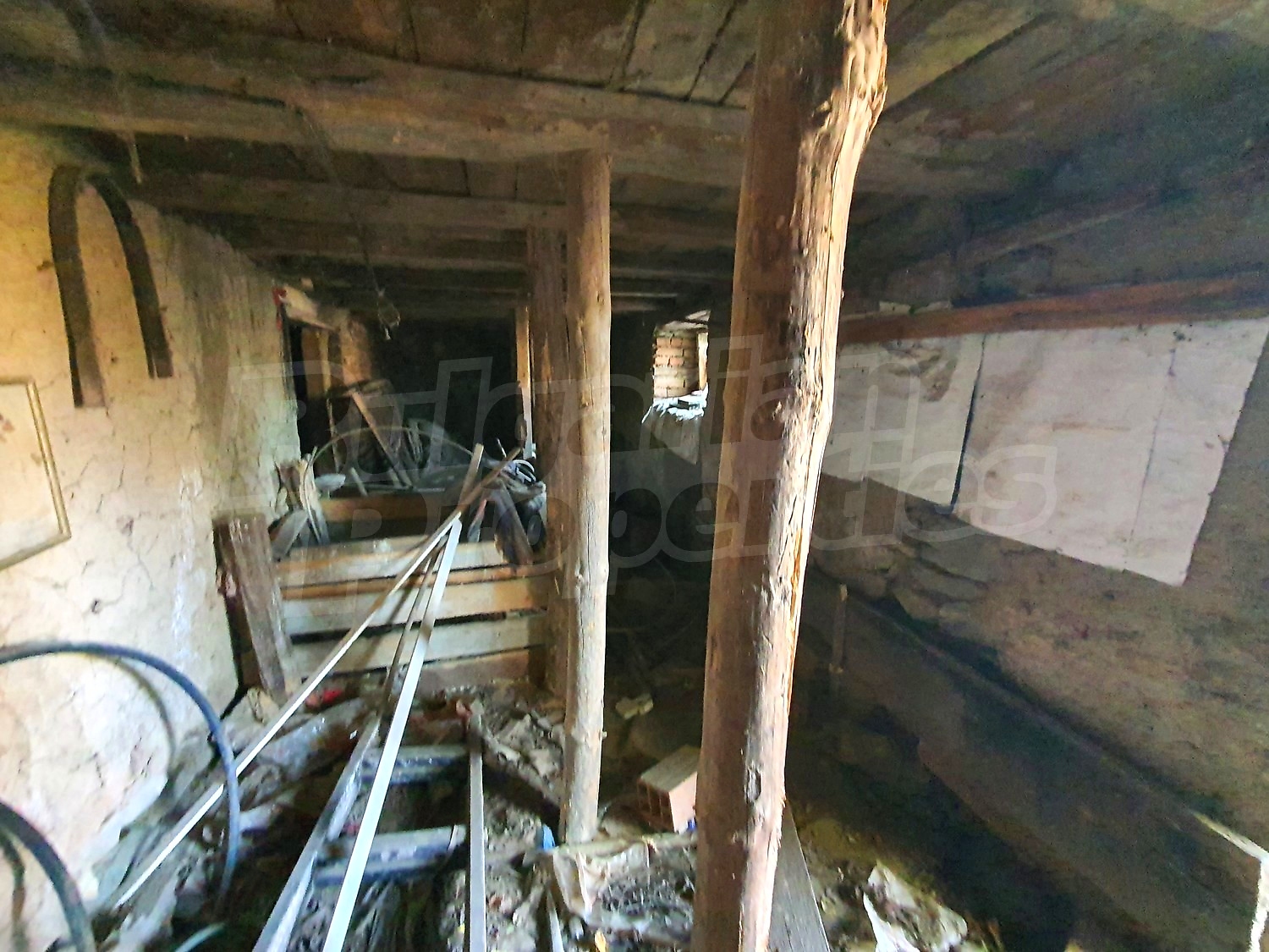 Gallery Picture 16