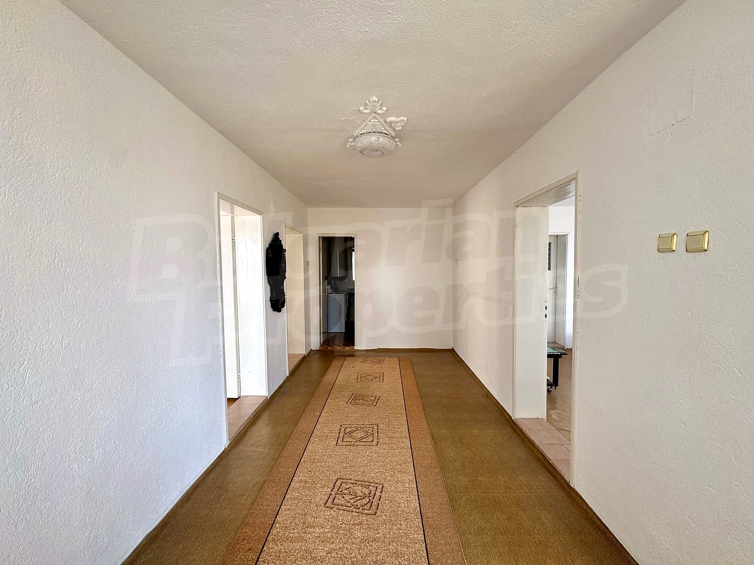 Gallery Picture 67