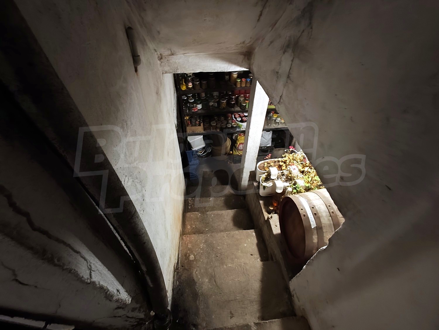 Gallery Picture 47
