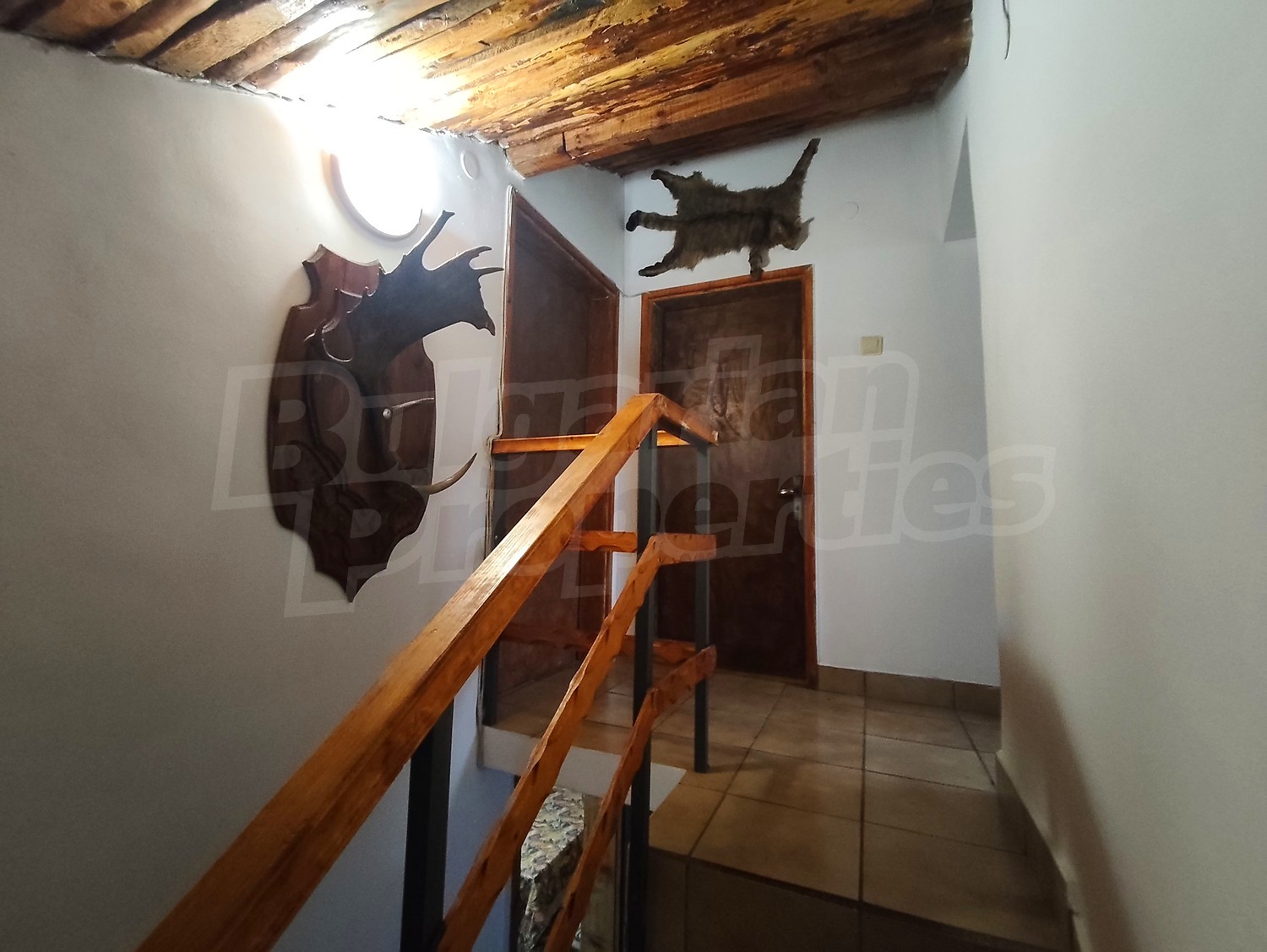 Gallery Picture 37