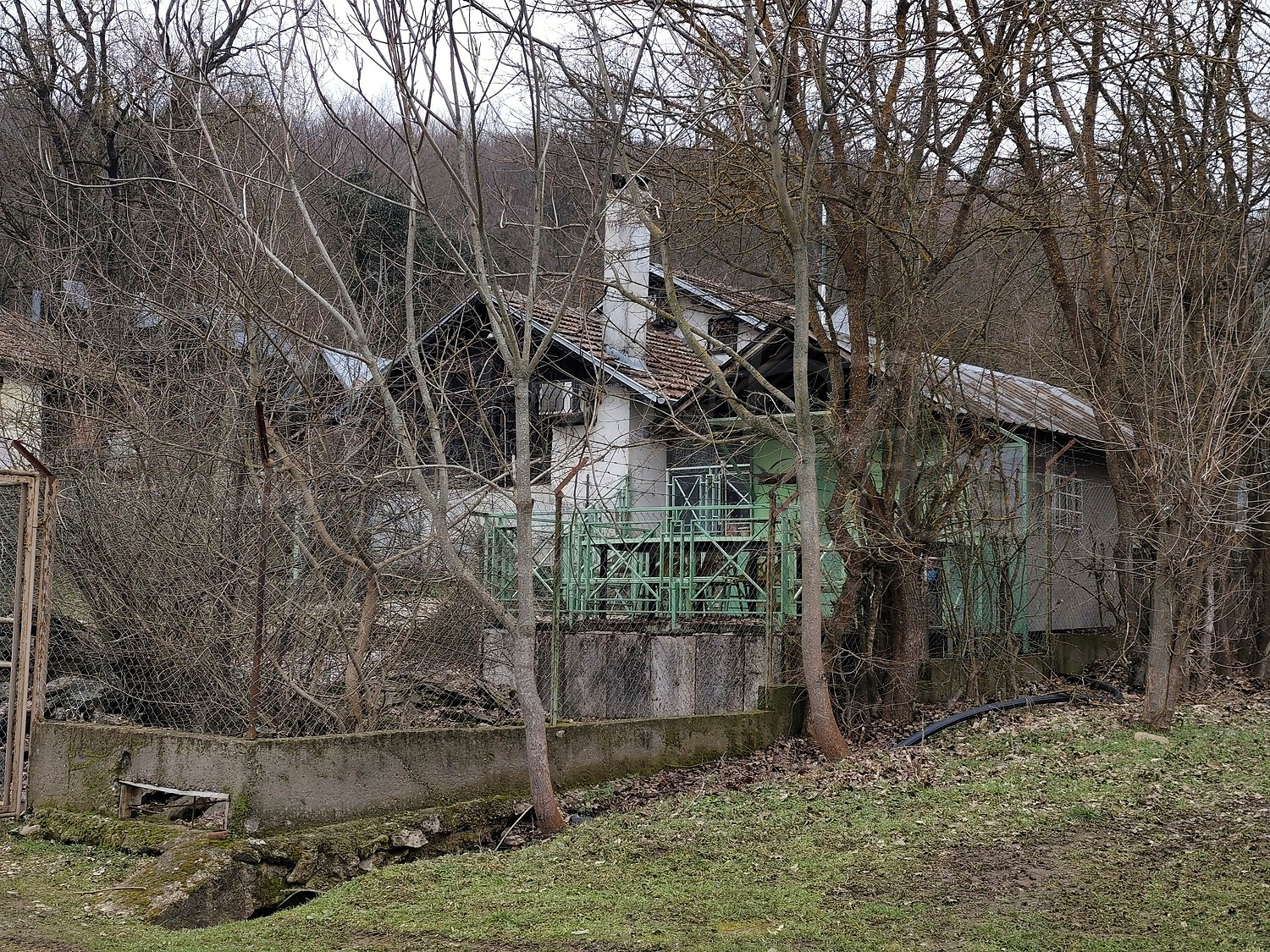 Gallery Picture 54