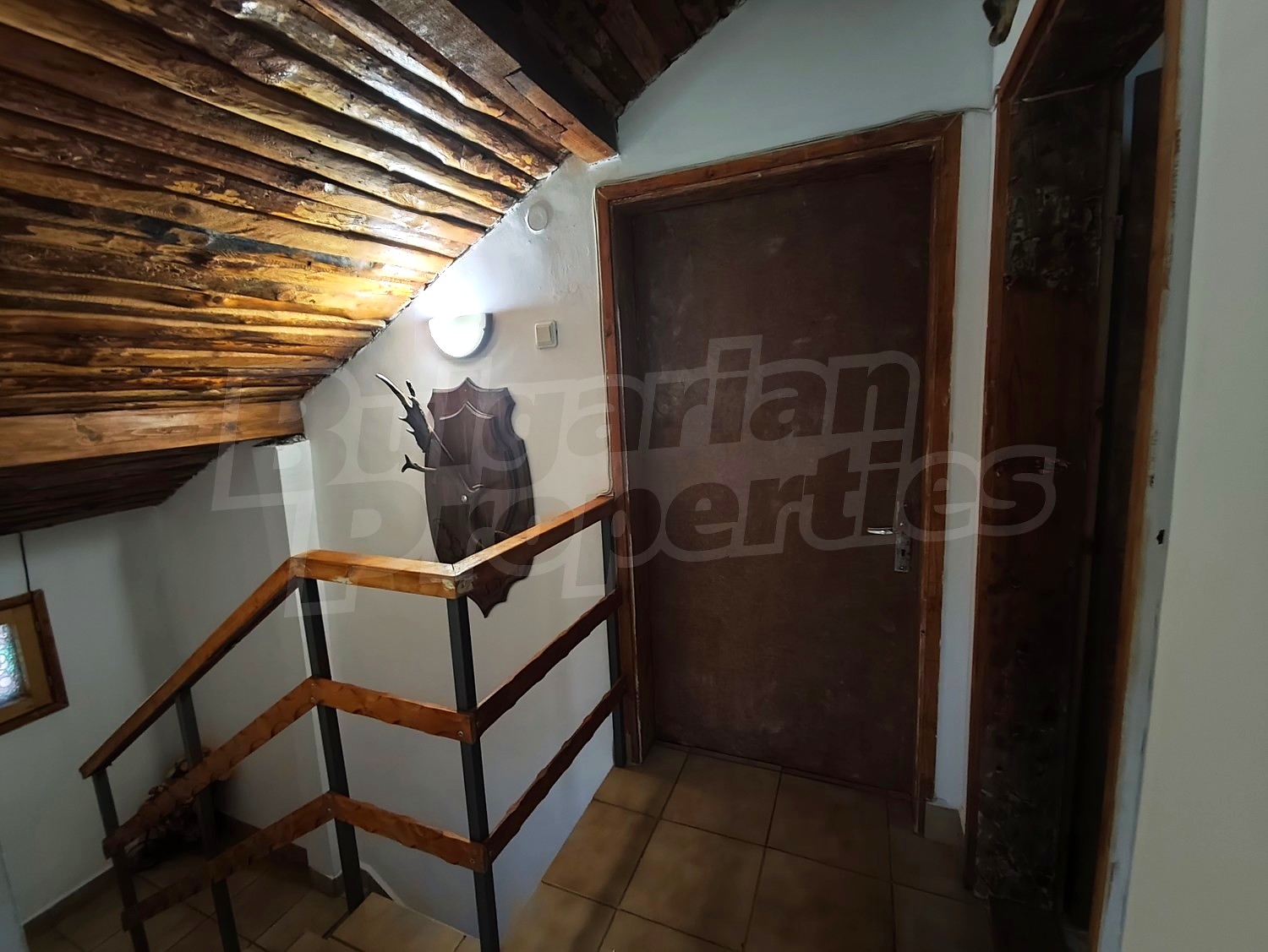 Gallery Picture 39