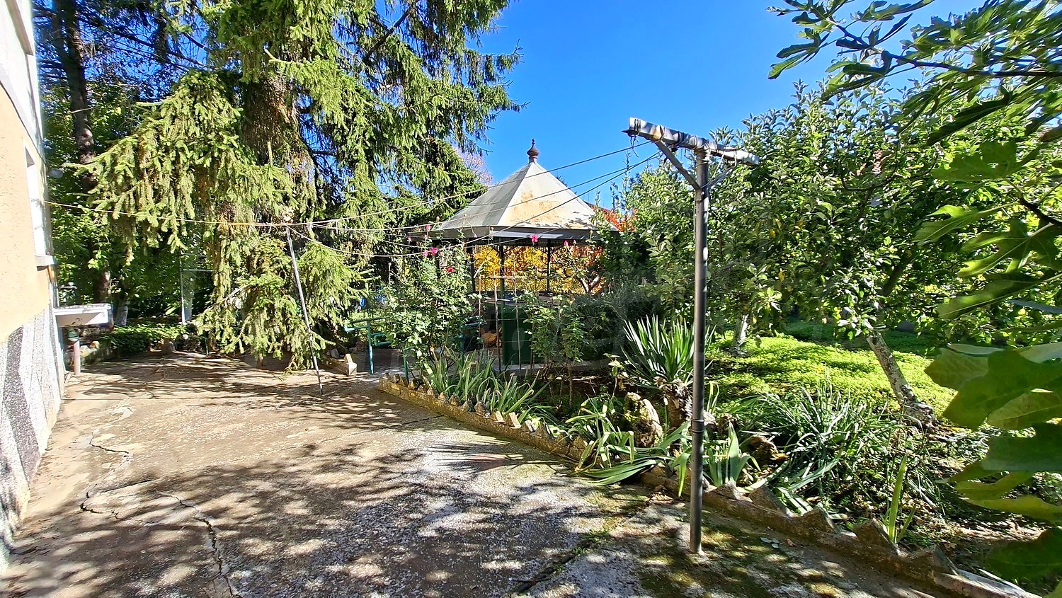 Gallery Picture 3