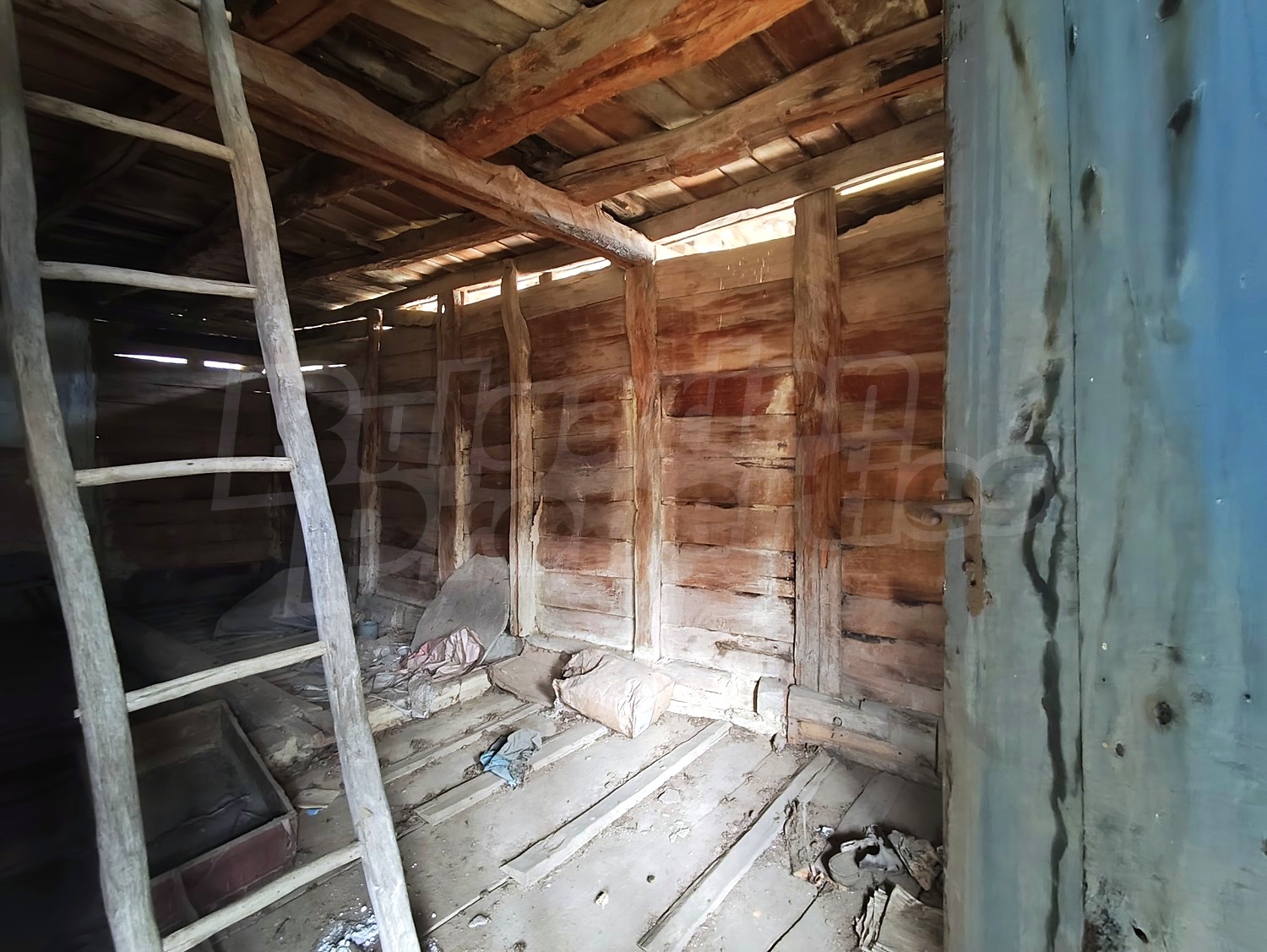Gallery Picture 10