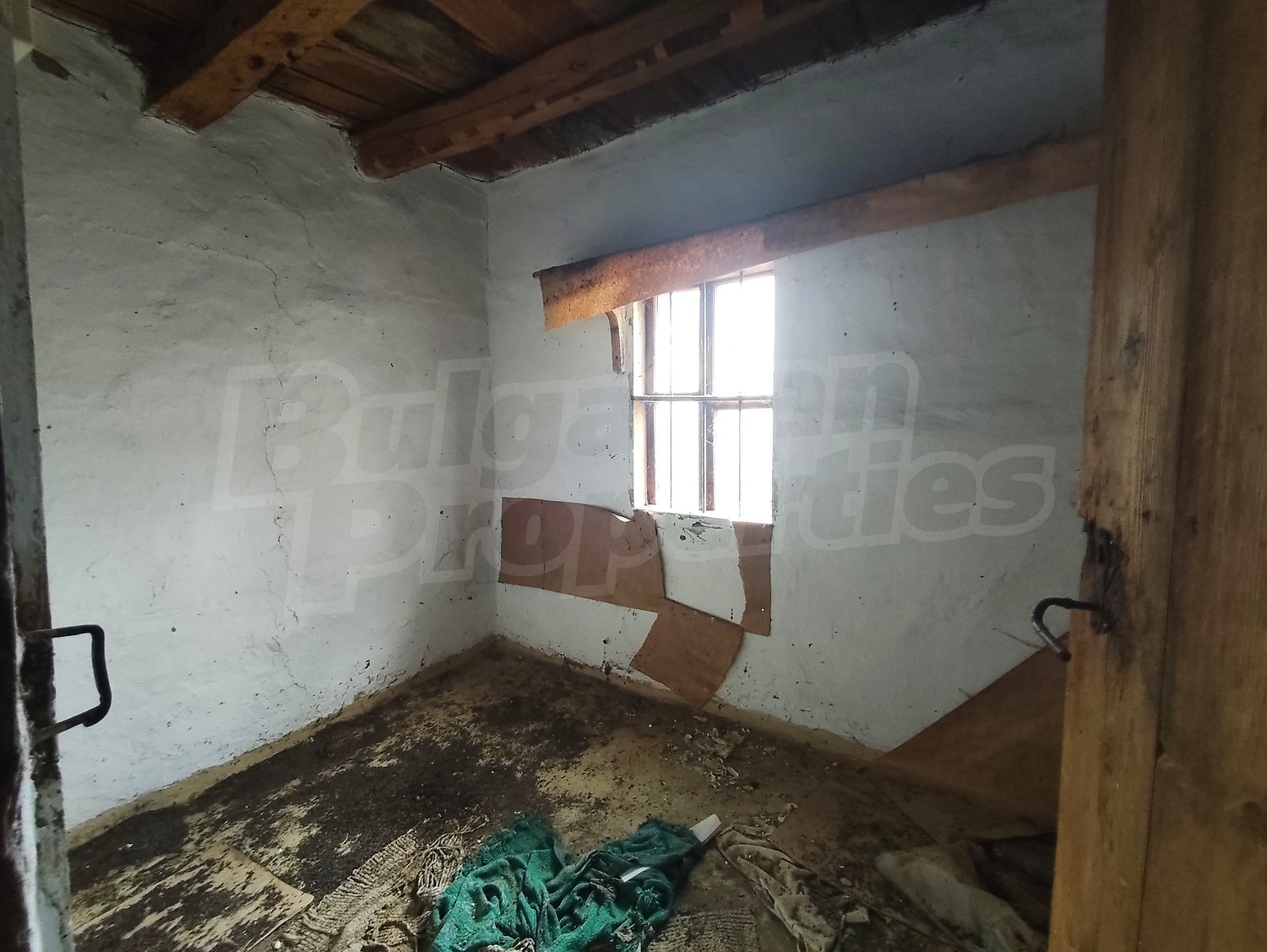 Gallery Picture 15