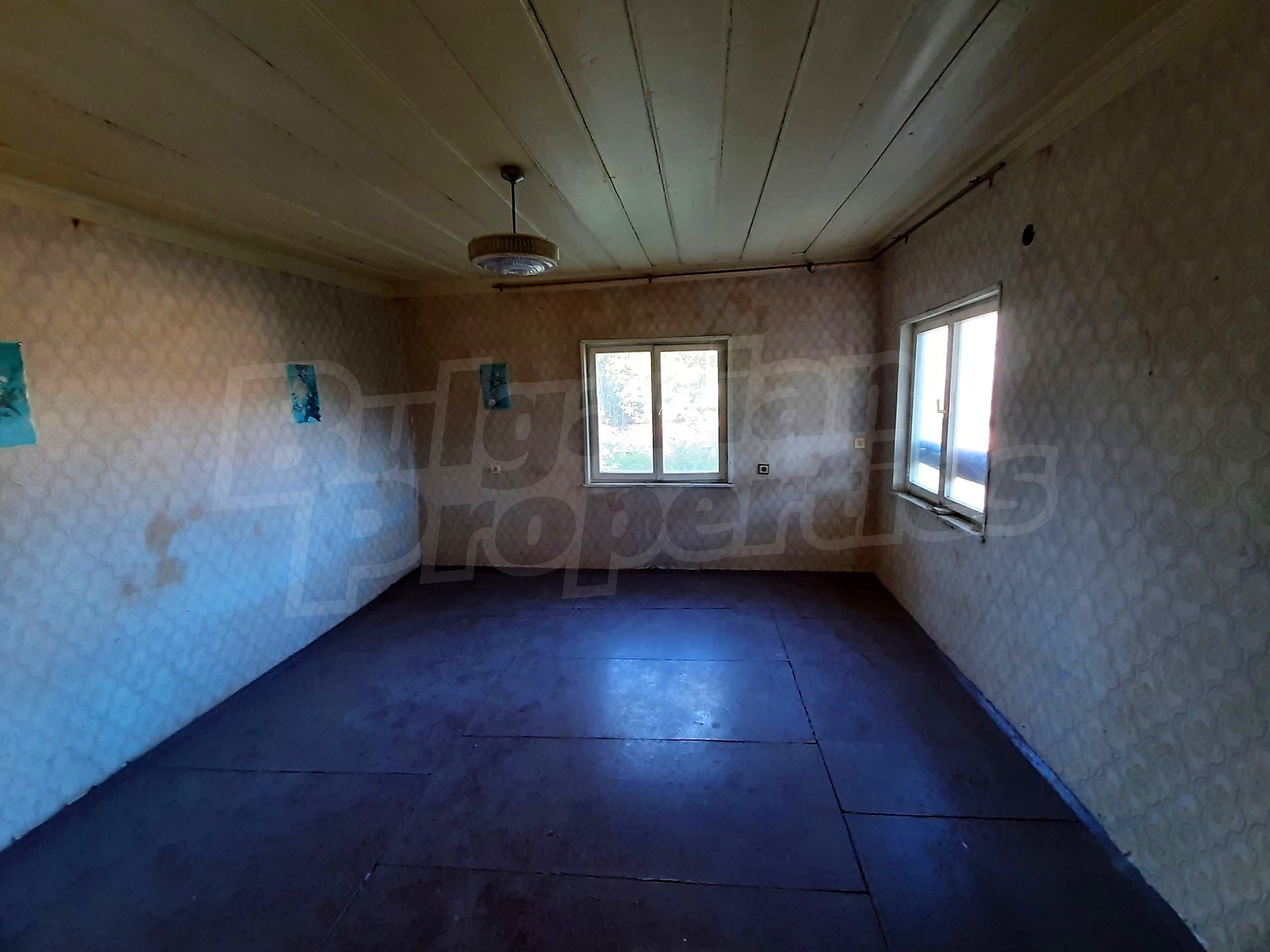 Gallery Picture 4