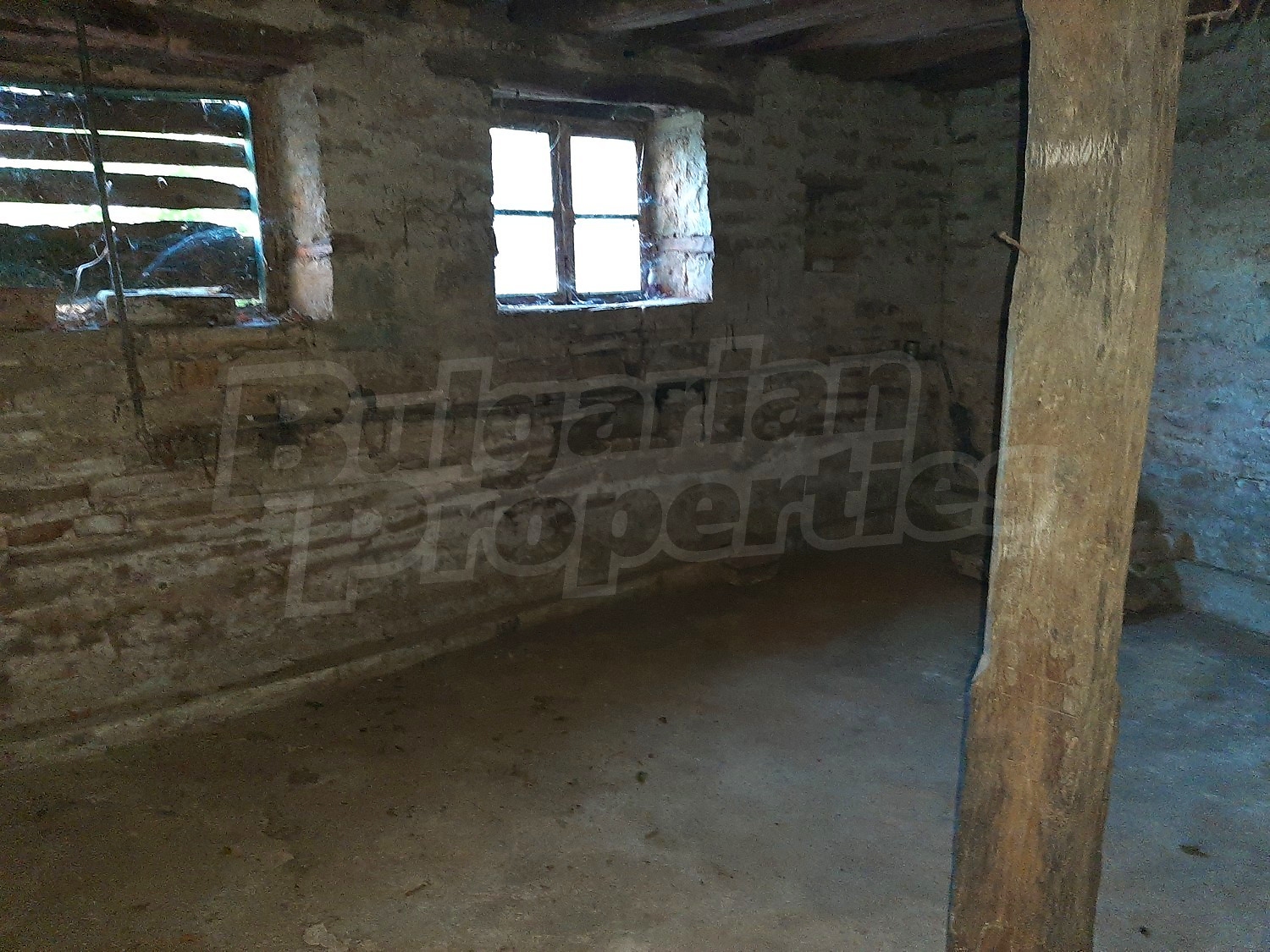 Gallery Picture 14