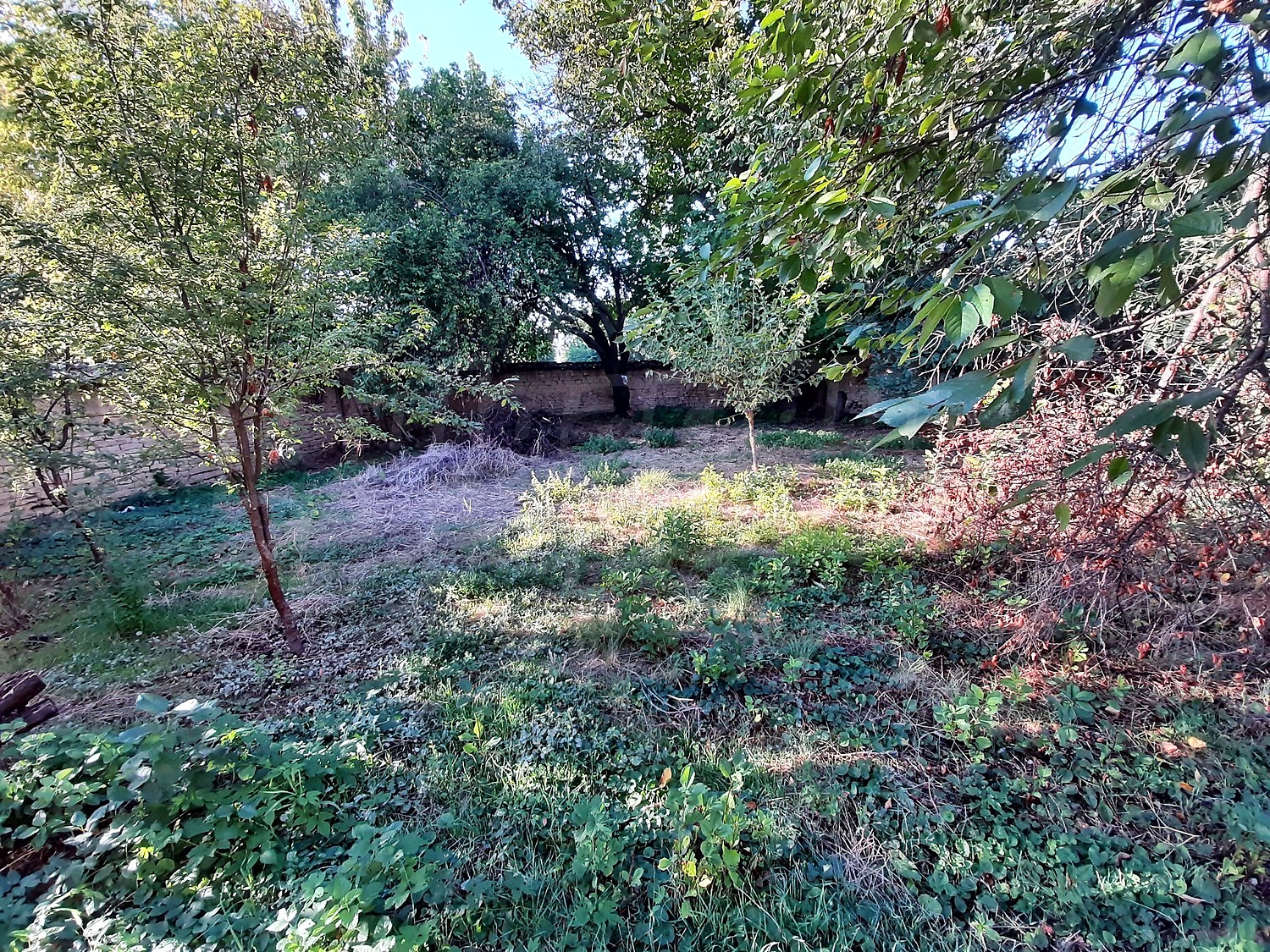 Gallery Picture 17