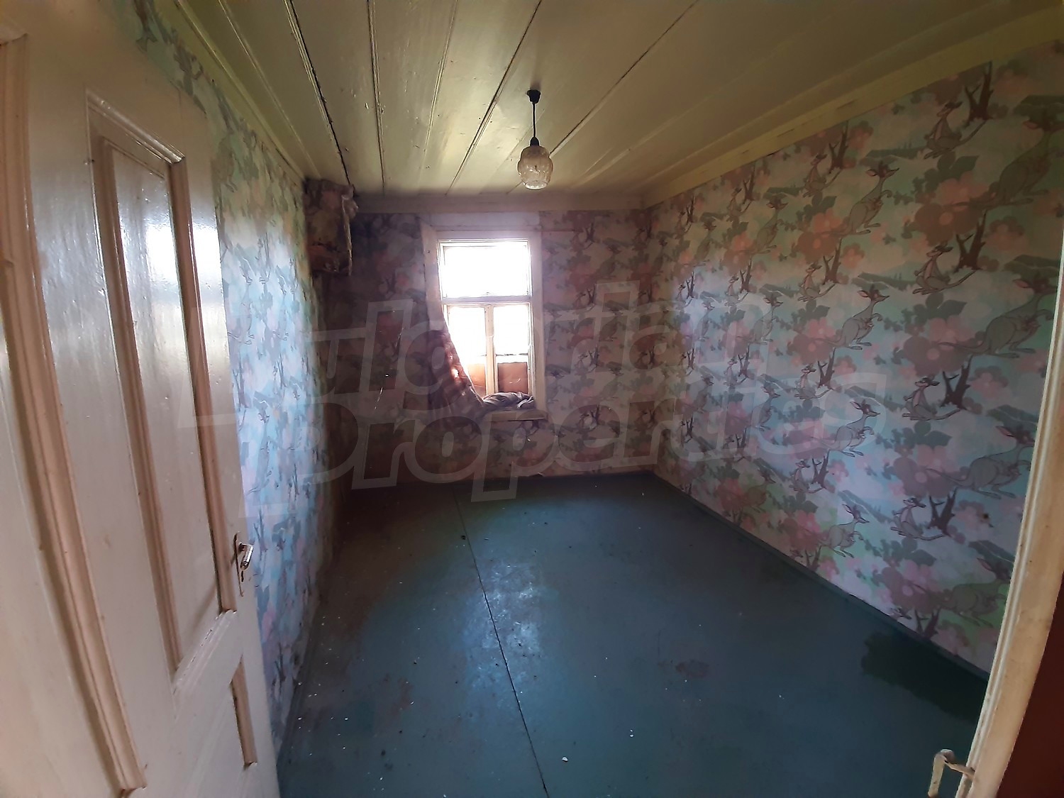 Gallery Picture 6