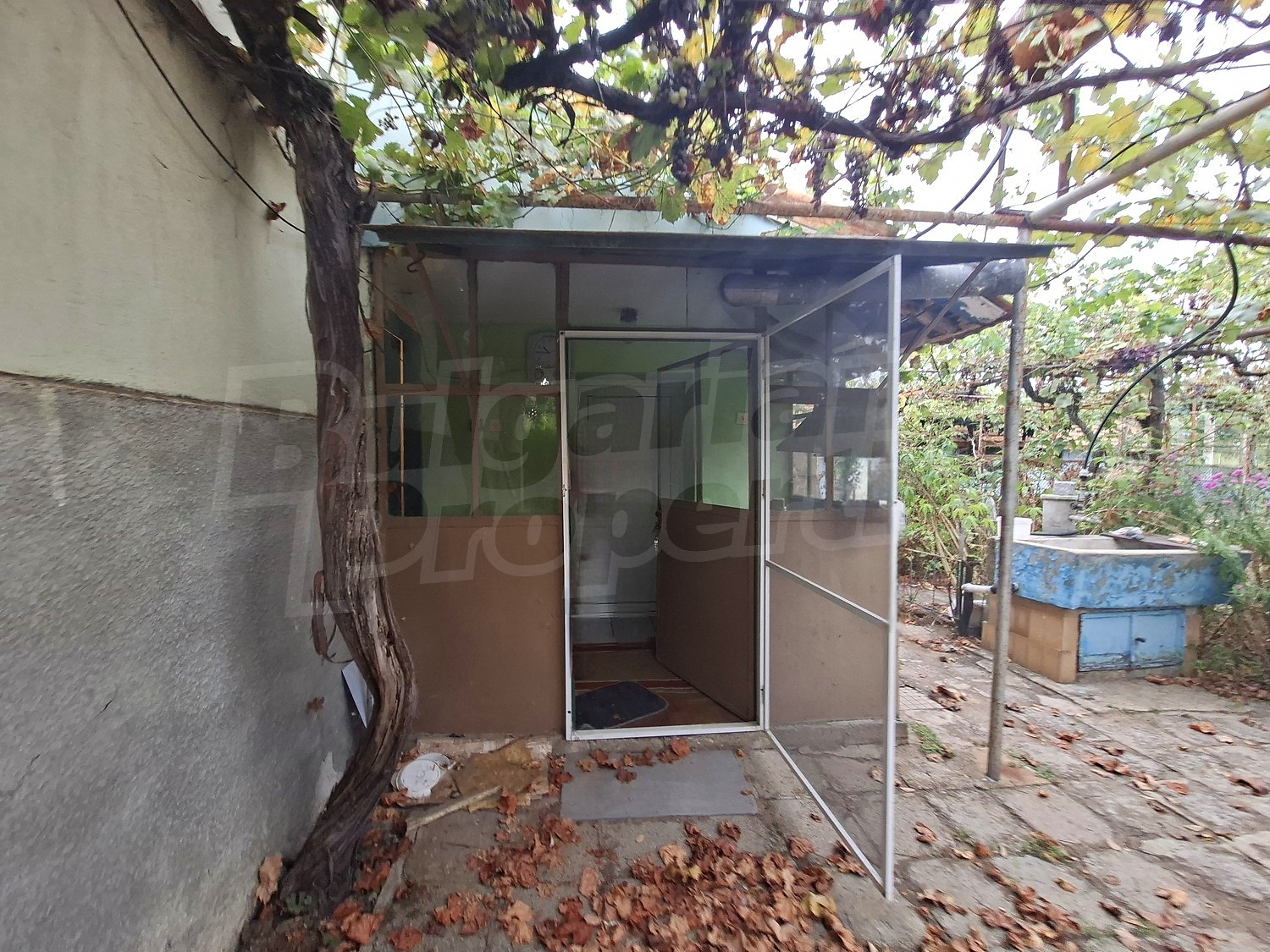 Gallery Picture 15