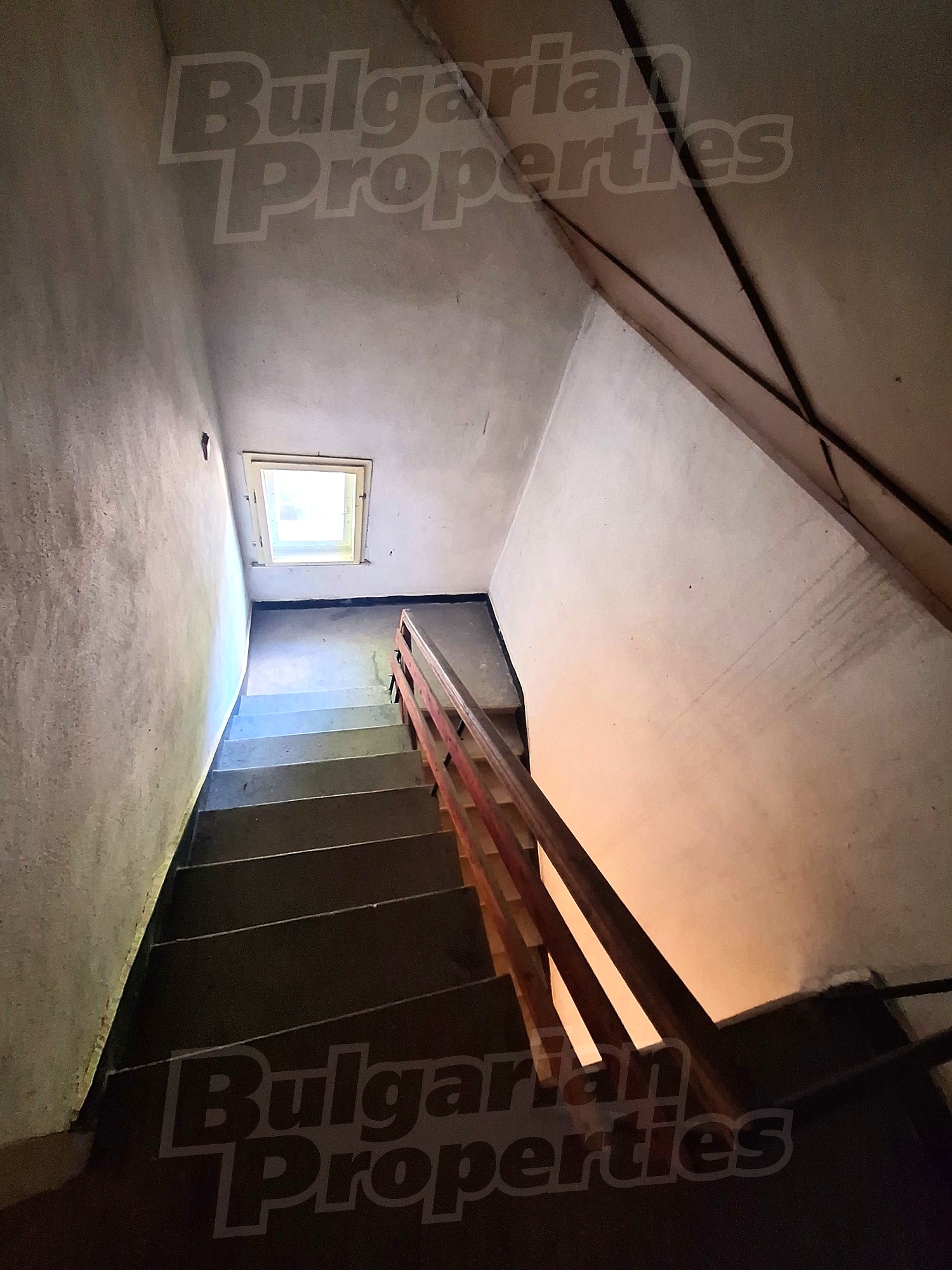 Gallery Picture 12