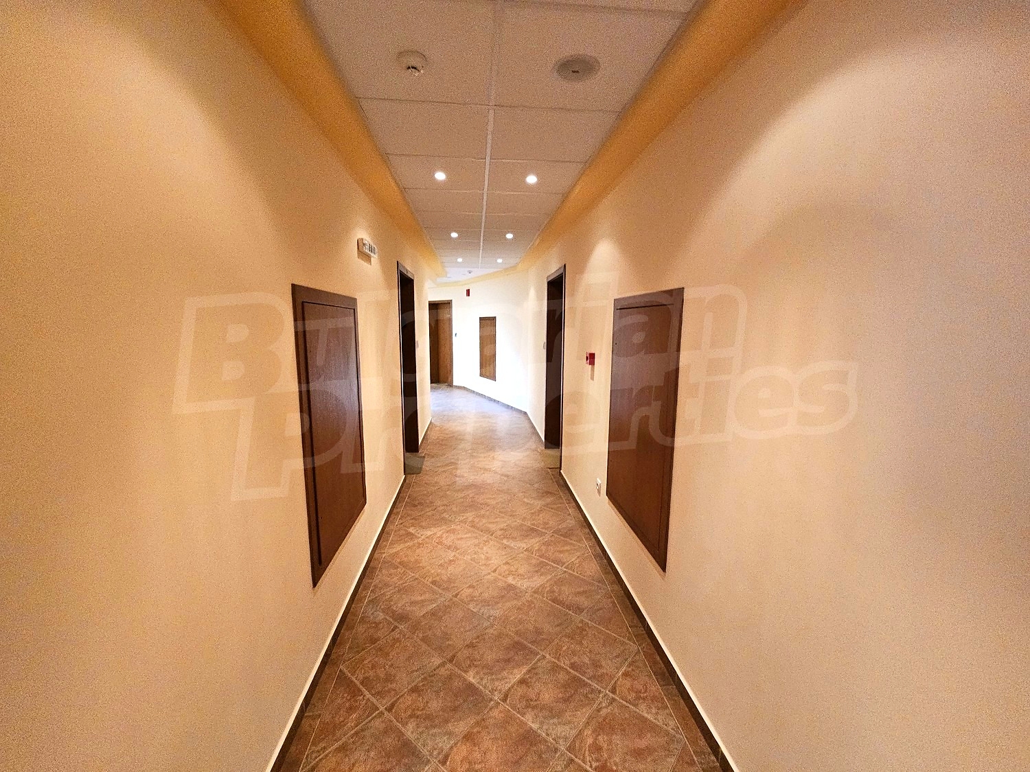 Gallery Picture 28