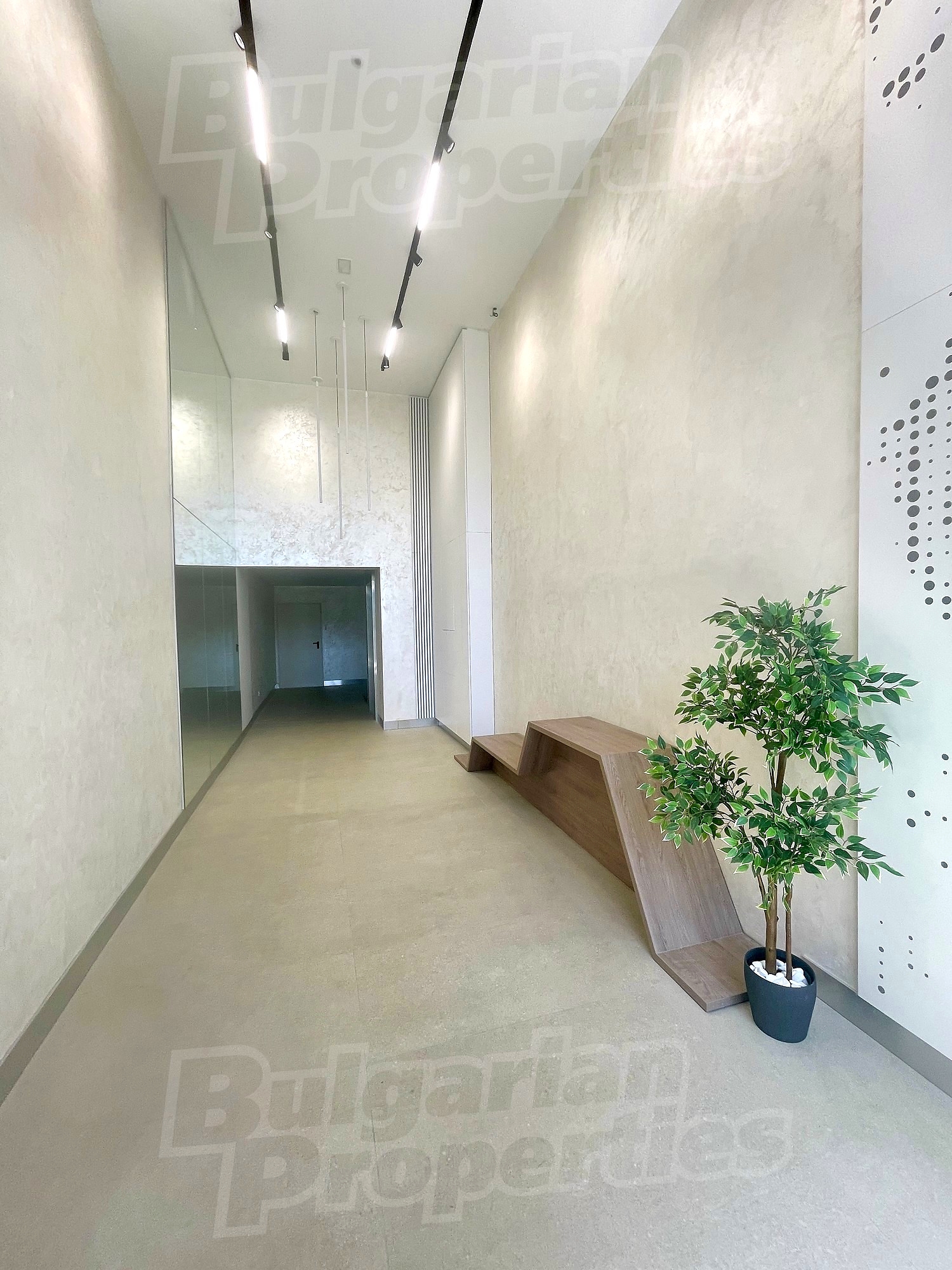 Gallery Picture 28